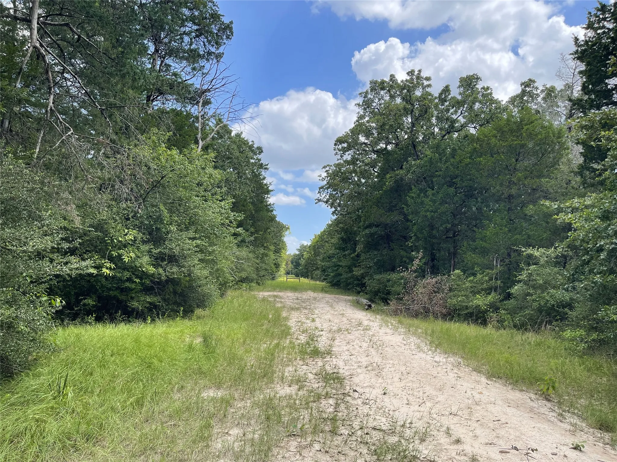Unimproved Land For Sale in Freestone County , 108 Fcr 525, Fairfield, Texas 75840, 0, 0, Garage spaces, 0 Sqft, built in 0, mls#21342844, Real Estate Agent in Fairfield, Homes For Sale in Freestone county, Homes For Sale in Fairfield, Realtor in Fairfield Texas, Real Estate Brokerage Independent Realty Texas, Luminita Cordes Realtor