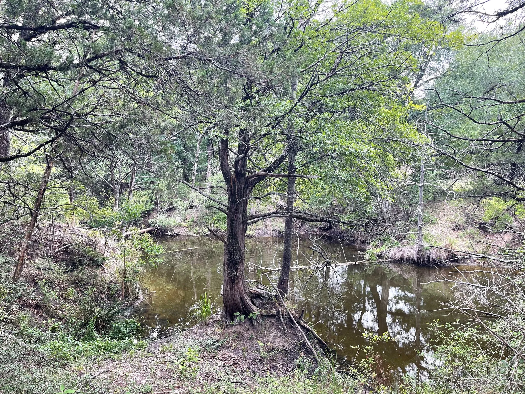 Unimproved Land For Sale in Freestone County , 108 Fcr 525, Fairfield, Texas 75840, 0, 0, Garage spaces, 0 Sqft, built in 0, mls#21342844, Real Estate Agent in Fairfield, Homes For Sale in Freestone county, Homes For Sale in Fairfield, Realtor in Fairfield Texas, Real Estate Brokerage Independent Realty Texas, Luminita Cordes Realtor