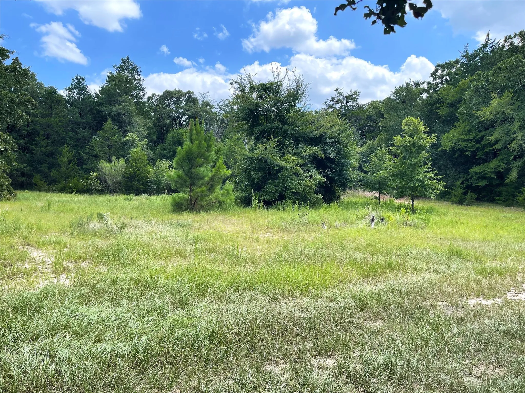 Unimproved Land For Sale in Freestone County , 108 Fcr 525, Fairfield, Texas 75840, 0, 0, Garage spaces, 0 Sqft, built in 0, mls#21342844, Real Estate Agent in Fairfield, Homes For Sale in Freestone county, Homes For Sale in Fairfield, Realtor in Fairfield Texas, Real Estate Brokerage Independent Realty Texas, Luminita Cordes Realtor