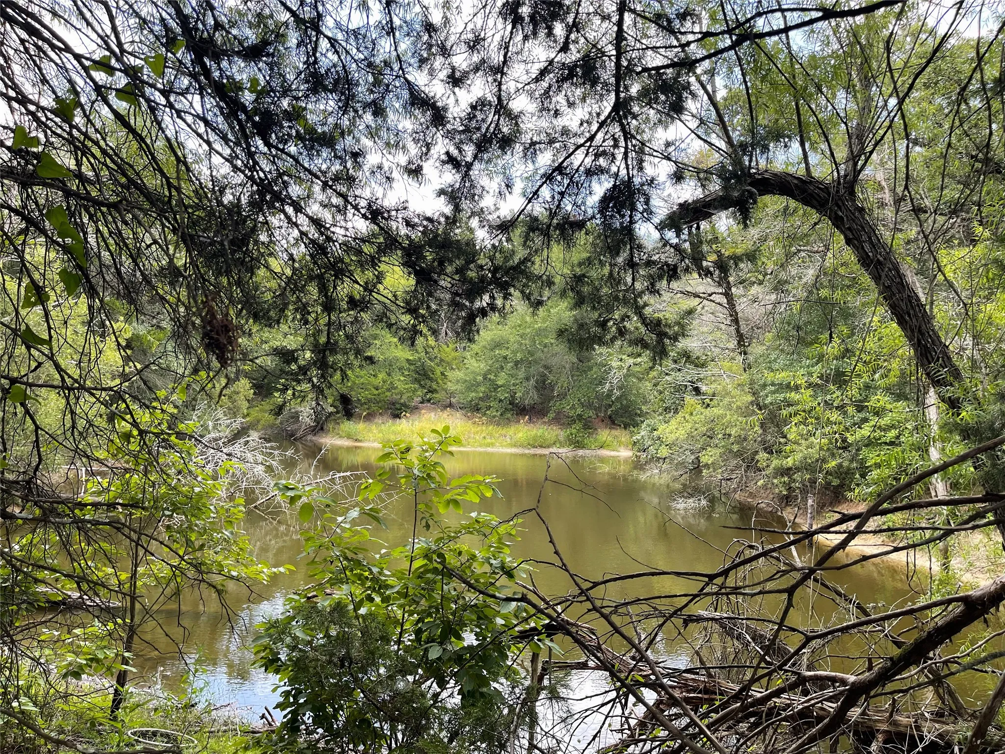 Unimproved Land For Sale in Freestone County , 108 Fcr 525, Fairfield, Texas 75840, 0, 0, Garage spaces, 0 Sqft, built in 0, mls#21342844, Real Estate Agent in Fairfield, Homes For Sale in Freestone county, Homes For Sale in Fairfield, Realtor in Fairfield Texas, Real Estate Brokerage Independent Realty Texas, Luminita Cordes Realtor