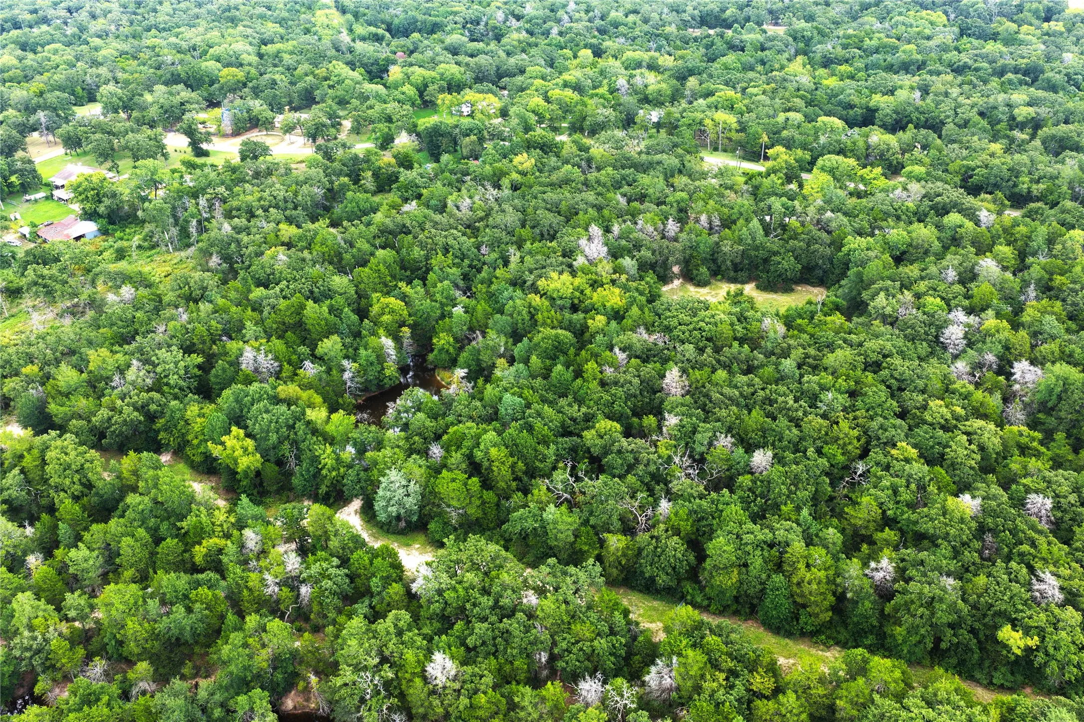 Unimproved Land For Sale in Freestone County , 108 Fcr 525, Fairfield, Texas 75840, 0, 0, Garage spaces, 0 Sqft, built in 0, mls#21342844, Real Estate Agent in Fairfield, Homes For Sale in Freestone county, Homes For Sale in Fairfield, Realtor in Fairfield Texas, Real Estate Brokerage Independent Realty Texas, Luminita Cordes Realtor