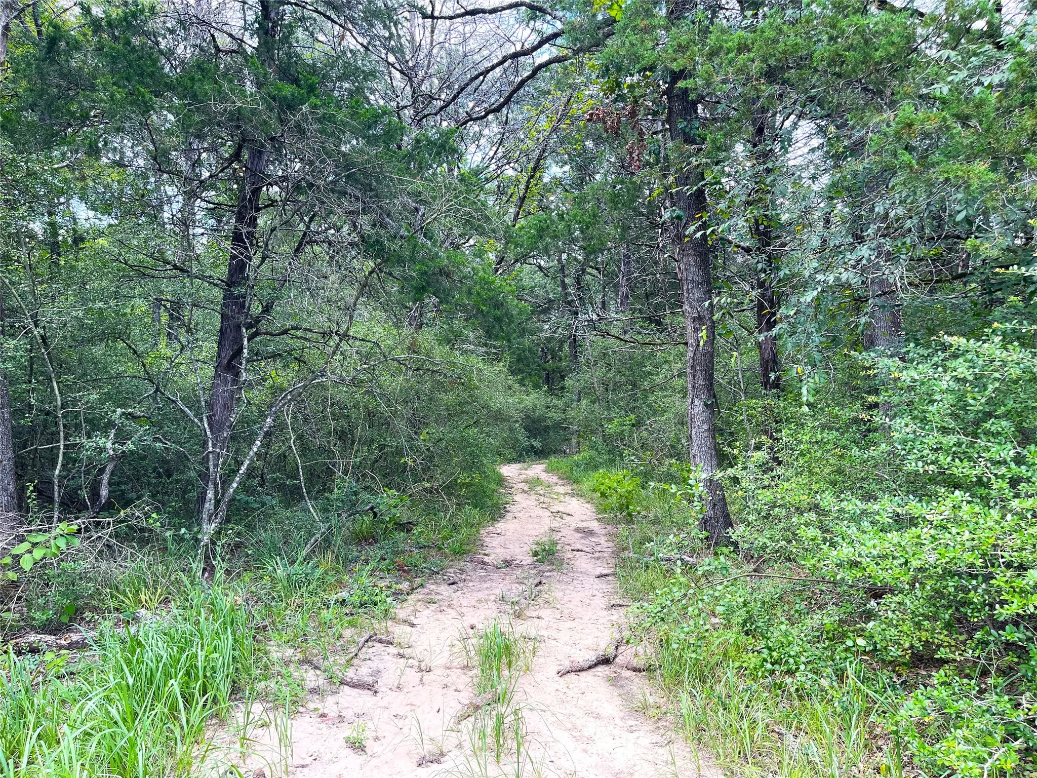 Unimproved Land For Sale in Freestone County , 108 Fcr 525, Fairfield, Texas 75840, 0, 0, Garage spaces, 0 Sqft, built in 0, mls#21342844, Real Estate Agent in Fairfield, Homes For Sale in Freestone county, Homes For Sale in Fairfield, Realtor in Fairfield Texas, Real Estate Brokerage Independent Realty Texas, Luminita Cordes Realtor