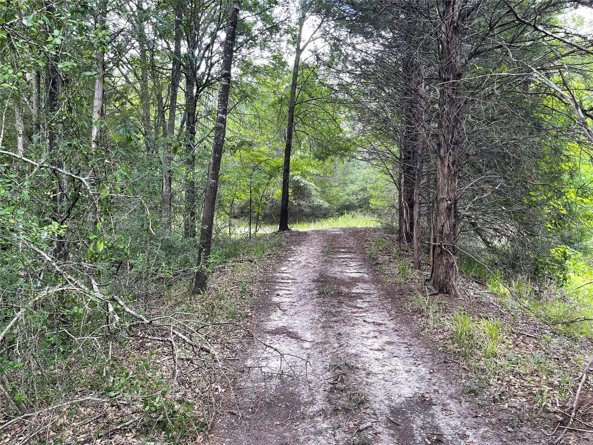 Unimproved Land For Sale in Freestone County , 108 Fcr 525, Fairfield, Texas 75840, 0, 0, Garage spaces, 0 Sqft, built in 0, mls#21342844, Real Estate Agent in Fairfield, Homes For Sale in Freestone county, Homes For Sale in Fairfield, Realtor in Fairfield Texas, Real Estate Brokerage Independent Realty Texas, Luminita Cordes Realtor