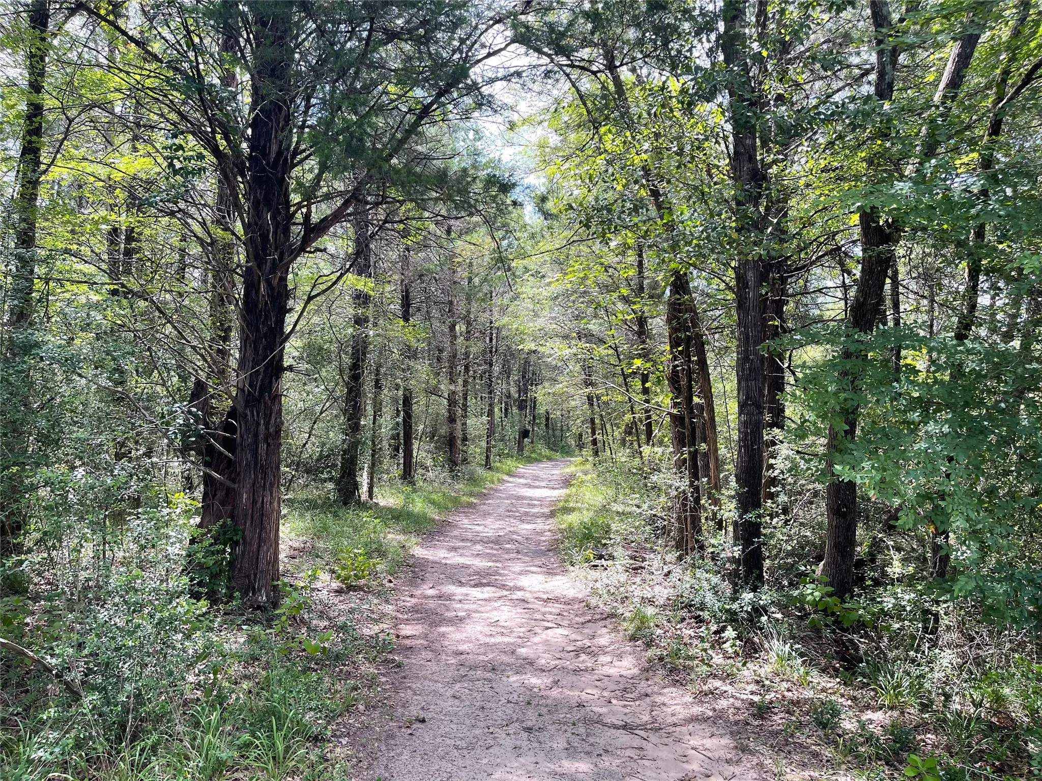 Unimproved Land For Sale in Freestone County , 108 Fcr 525, Fairfield, Texas 75840, 0, 0, Garage spaces, 0 Sqft, built in 0, mls#21342844, Real Estate Agent in Fairfield, Homes For Sale in Freestone county, Homes For Sale in Fairfield, Realtor in Fairfield Texas, Real Estate Brokerage Independent Realty Texas, Luminita Cordes Realtor