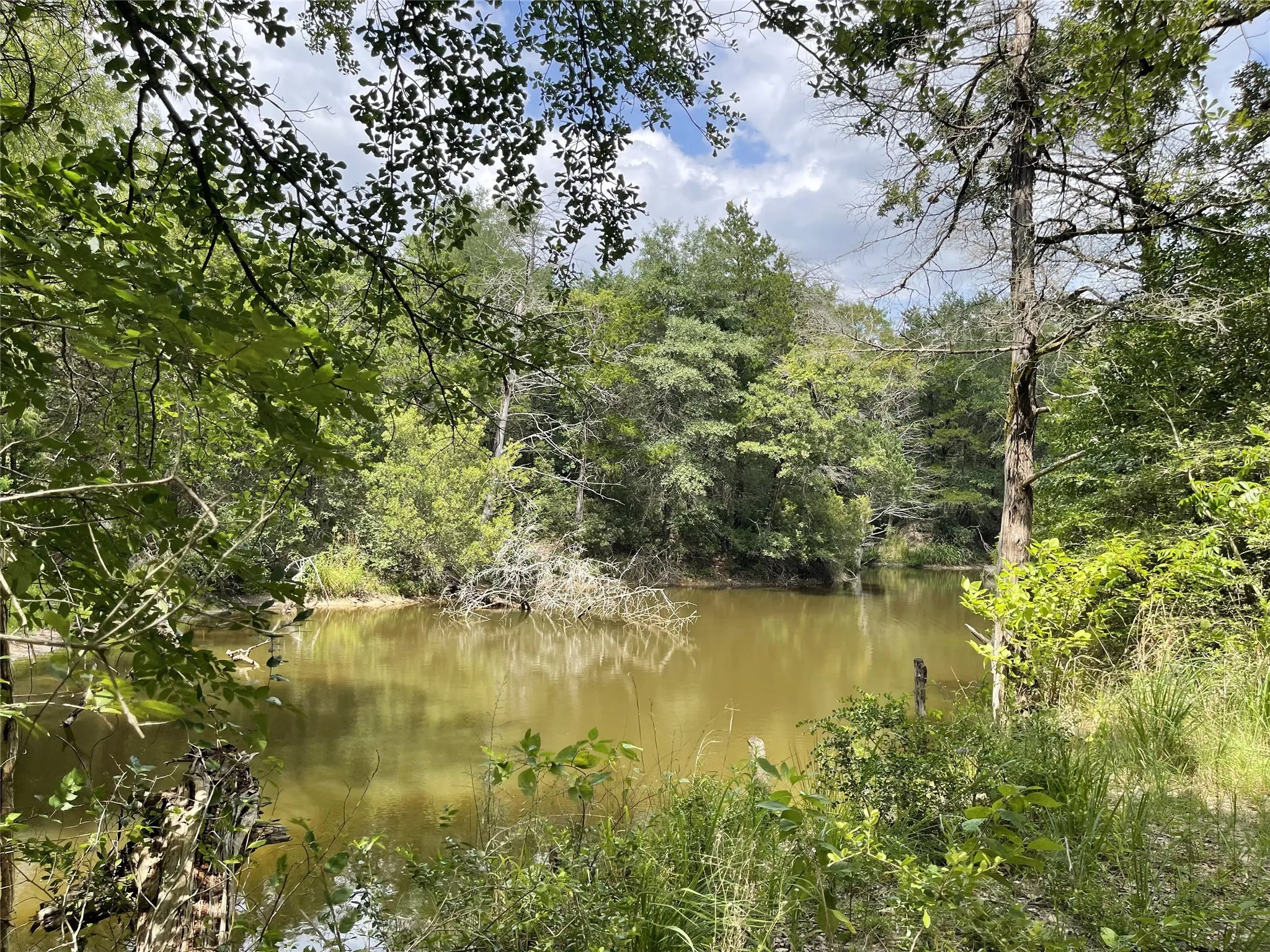 Unimproved Land For Sale in Freestone County , 108 Fcr 525, Fairfield, Texas 75840, 0, 0, Garage spaces, 0 Sqft, built in 0, mls#21342844, Real Estate Agent in Fairfield, Homes For Sale in Freestone county, Homes For Sale in Fairfield, Realtor in Fairfield Texas, Real Estate Brokerage Independent Realty Texas, Luminita Cordes Realtor