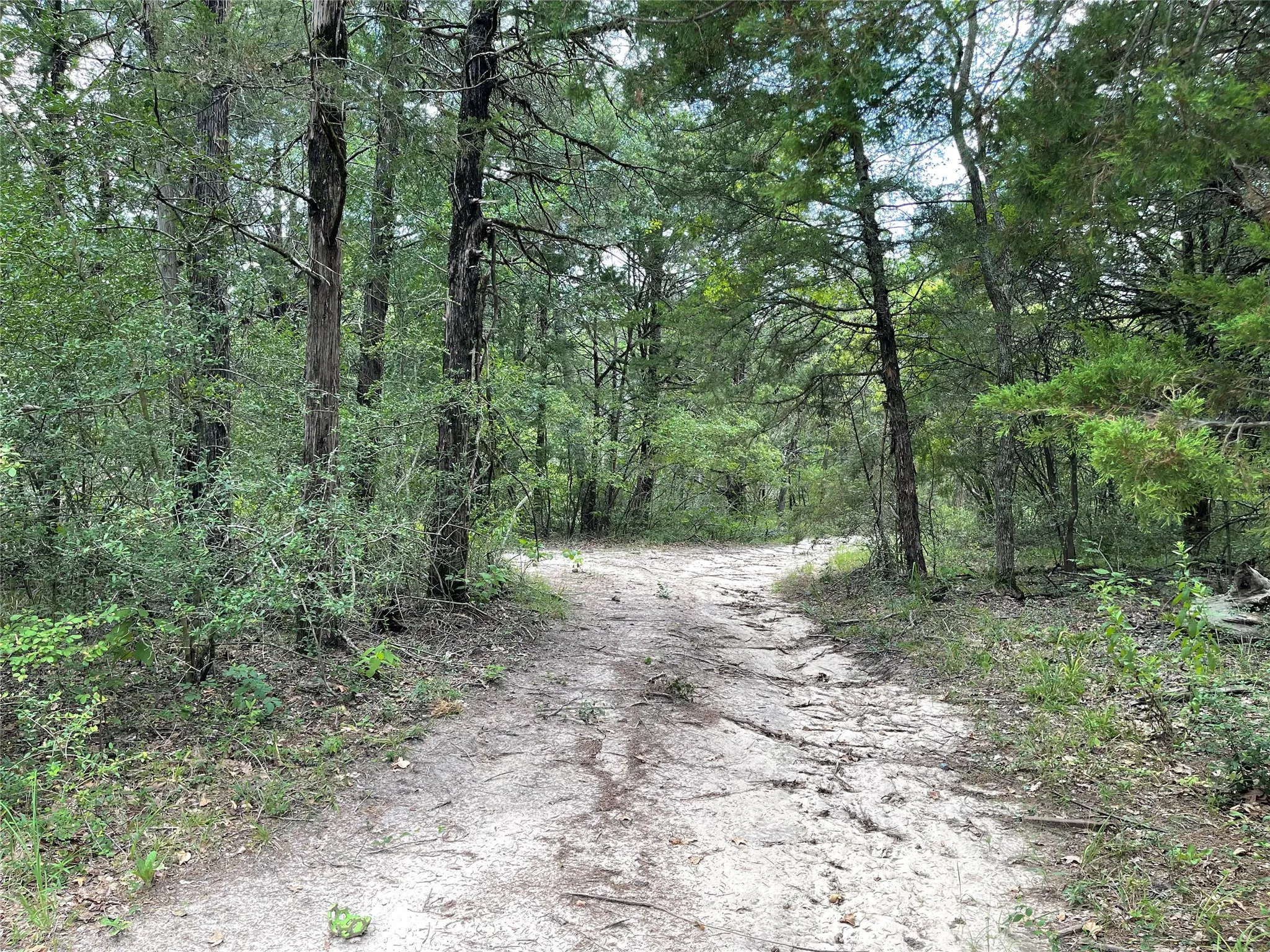 Unimproved Land For Sale in Freestone County , 108 Fcr 525, Fairfield, Texas 75840, 0, 0, Garage spaces, 0 Sqft, built in 0, mls#21342844, Real Estate Agent in Fairfield, Homes For Sale in Freestone county, Homes For Sale in Fairfield, Realtor in Fairfield Texas, Real Estate Brokerage Independent Realty Texas, Luminita Cordes Realtor