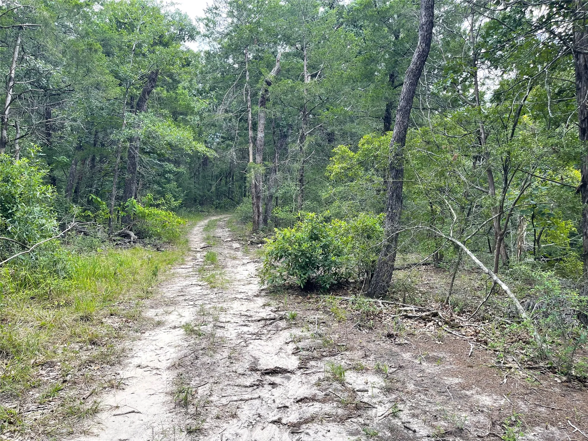 Unimproved Land For Sale in Freestone County , 108 Fcr 525, Fairfield, Texas 75840, 0, 0, Garage spaces, 0 Sqft, built in 0, mls#21342844, Real Estate Agent in Fairfield, Homes For Sale in Freestone county, Homes For Sale in Fairfield, Realtor in Fairfield Texas, Real Estate Brokerage Independent Realty Texas, Luminita Cordes Realtor