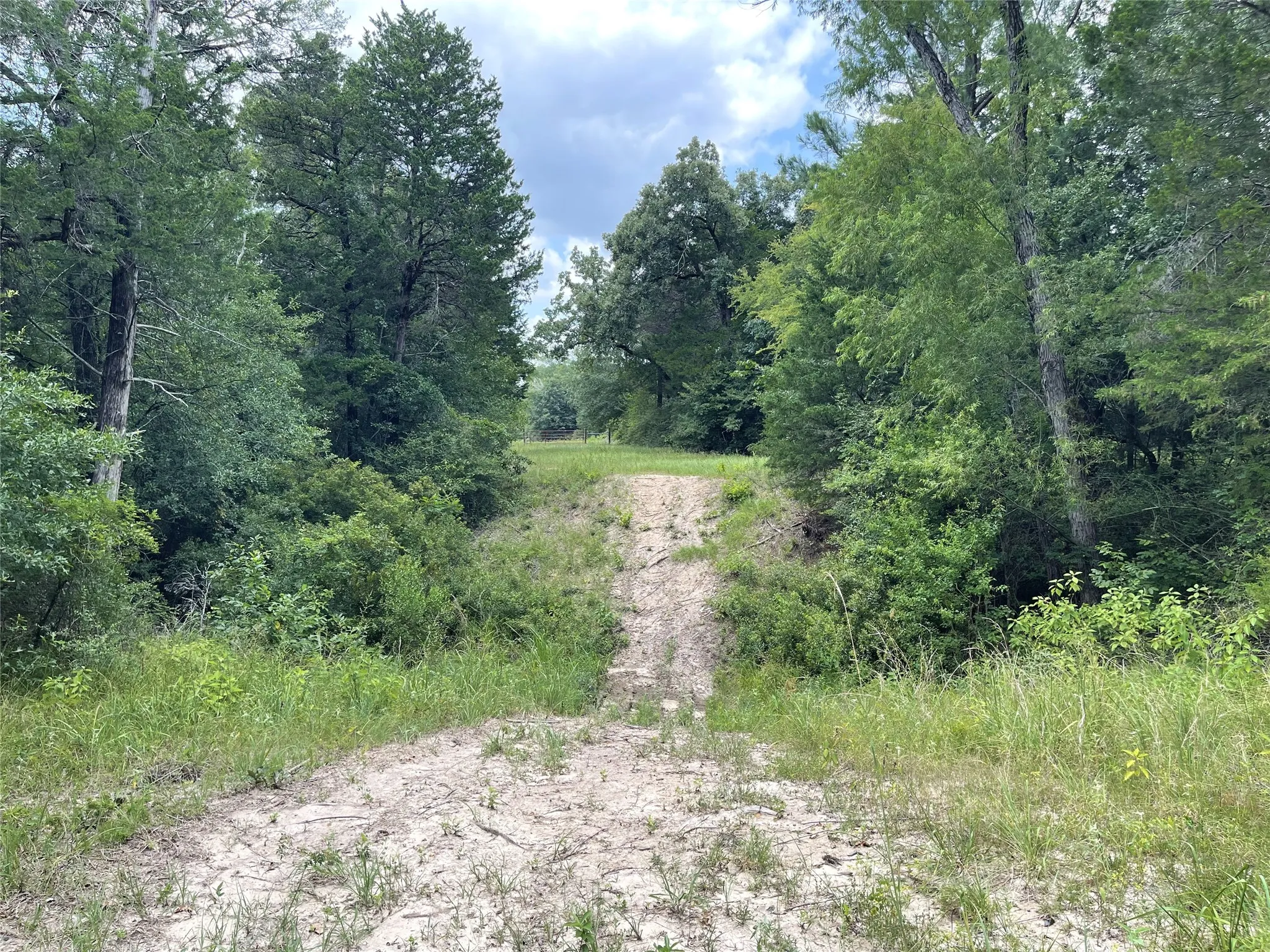 Unimproved Land For Sale in Freestone County , 108 Fcr 525, Fairfield, Texas 75840, 0, 0, Garage spaces, 0 Sqft, built in 0, mls#21342844, Real Estate Agent in Fairfield, Homes For Sale in Freestone county, Homes For Sale in Fairfield, Realtor in Fairfield Texas, Real Estate Brokerage Independent Realty Texas, Luminita Cordes Realtor