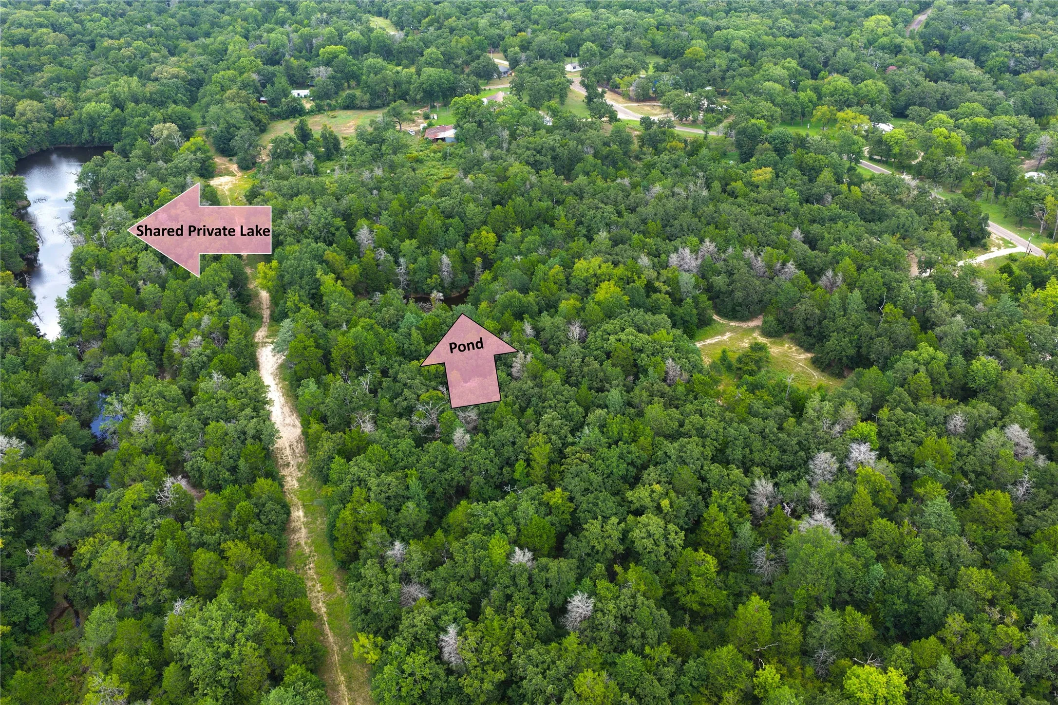 Unimproved Land For Sale in Freestone County , 108 Fcr 525, Fairfield, Texas 75840, 0, 0, Garage spaces, 0 Sqft, built in 0, mls#21342844, Real Estate Agent in Fairfield, Homes For Sale in Freestone county, Homes For Sale in Fairfield, Realtor in Fairfield Texas, Real Estate Brokerage Independent Realty Texas, Luminita Cordes Realtor