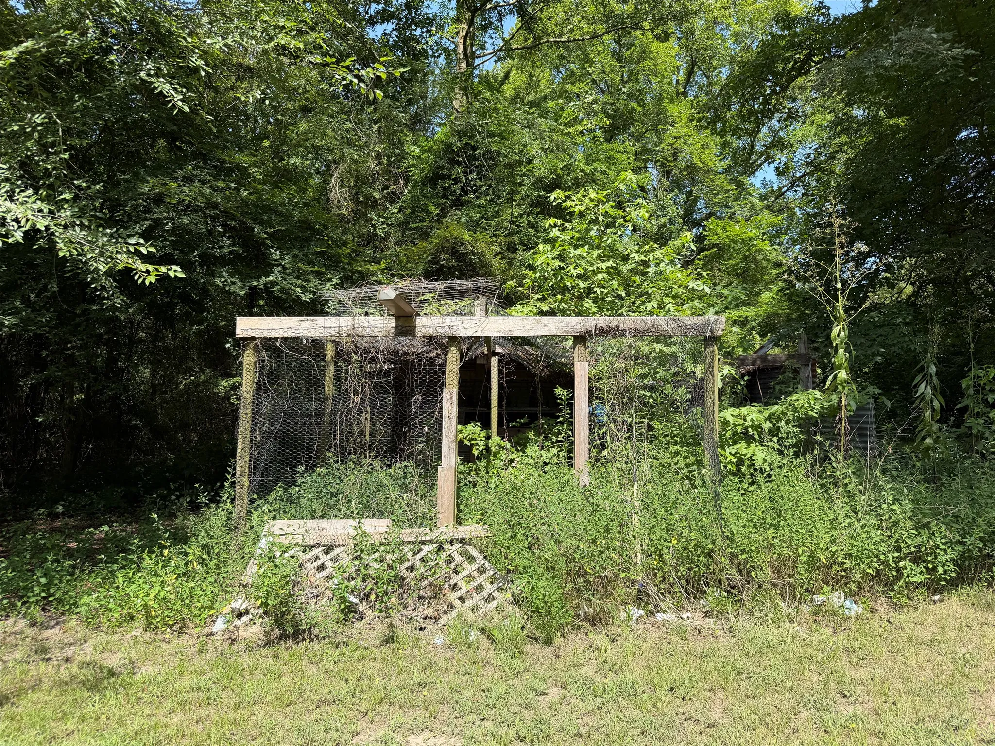 Chicken Coop