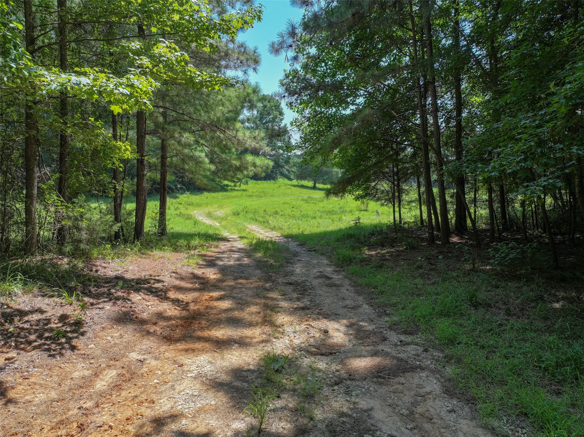 Manufactured Home For Sale in Bowie County , 6394 County Road 3204, De Kalb, Texas 75559, 3 Bedrooms, 2 Bathrooms, Garage spaces, 1,560 Sqft, built in 0, Price $349,000, mls#21343106, Real Estate Agent in De Kalb, Homes For Sale in Bowie county, Homes For Sale in De Kalb, Realtor in De Kalb Texas, Real Estate Brokerage Independent Realty Texas, Luminita Cordes Realtor