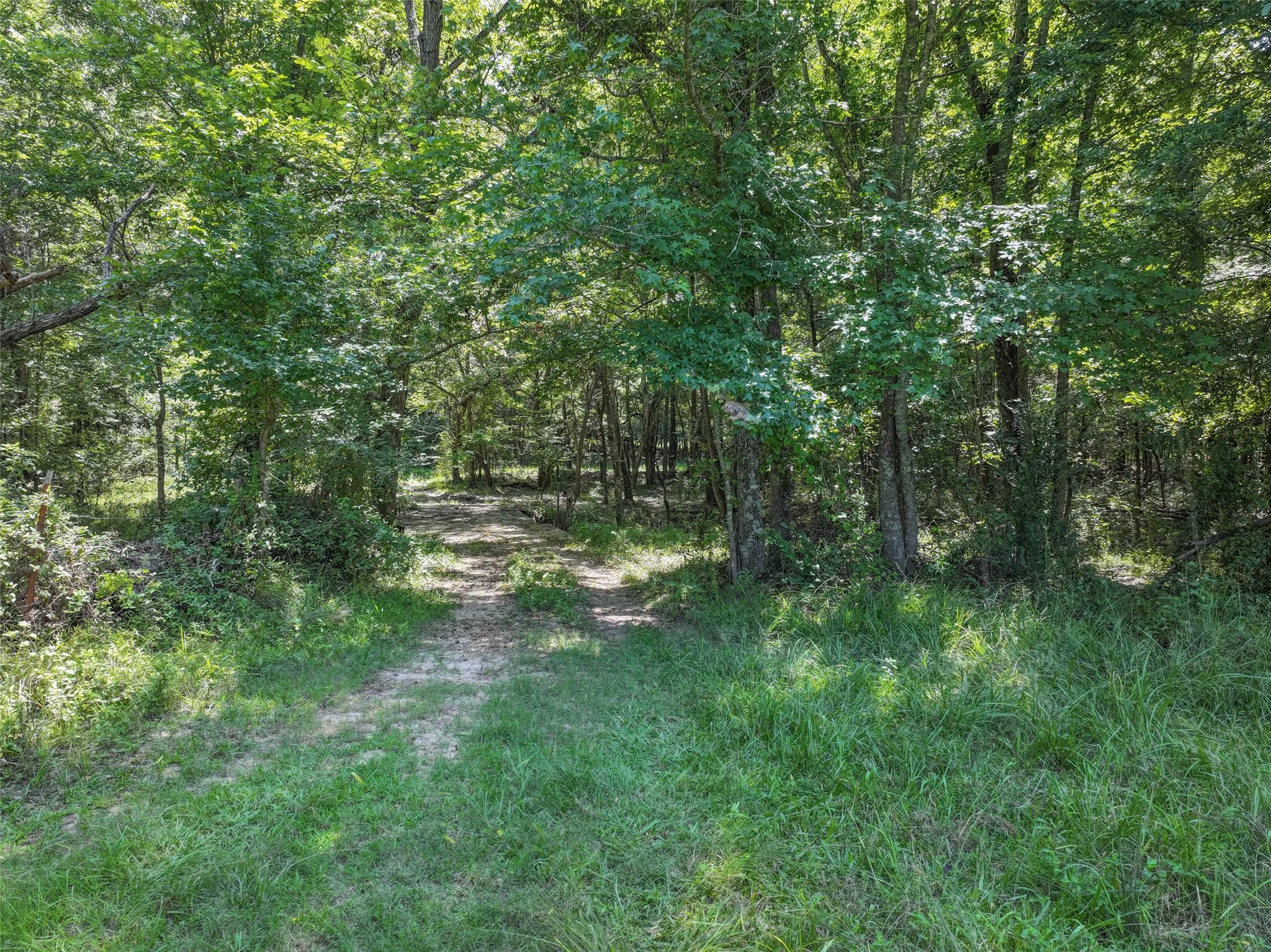 Manufactured Home For Sale in Bowie County , 6394 County Road 3204, De Kalb, Texas 75559, 3 Bedrooms, 2 Bathrooms, Garage spaces, 1,560 Sqft, built in 0, Price $349,000, mls#21343106, Real Estate Agent in De Kalb, Homes For Sale in Bowie county, Homes For Sale in De Kalb, Realtor in De Kalb Texas, Real Estate Brokerage Independent Realty Texas, Luminita Cordes Realtor