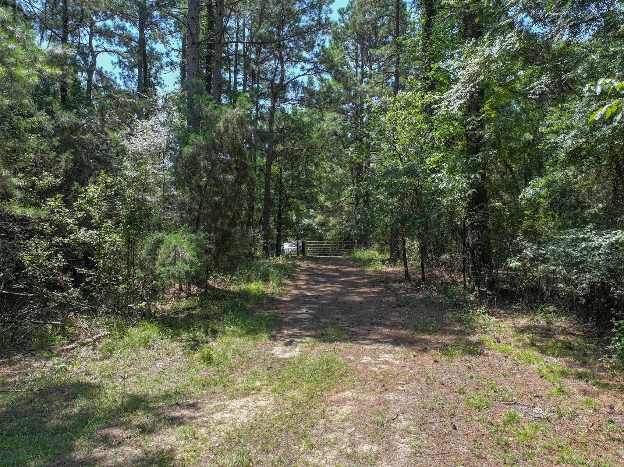 Manufactured Home For Sale in Bowie County , 6394 County Road 3204, De Kalb, Texas 75559, 3 Bedrooms, 2 Bathrooms, Garage spaces, 1,560 Sqft, built in 0, Price $349,000, mls#21343106, Real Estate Agent in De Kalb, Homes For Sale in Bowie county, Homes For Sale in De Kalb, Realtor in De Kalb Texas, Real Estate Brokerage Independent Realty Texas, Luminita Cordes Realtor