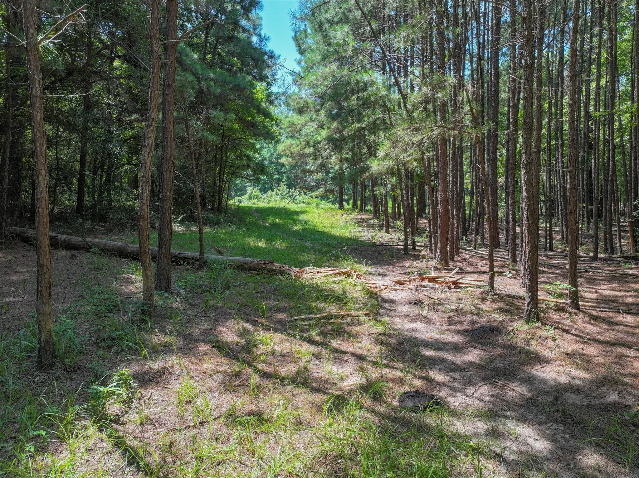 Manufactured Home For Sale in Bowie County , 6394 County Road 3204, De Kalb, Texas 75559, 3 Bedrooms, 2 Bathrooms, Garage spaces, 1,560 Sqft, built in 0, Price $349,000, mls#21343106, Real Estate Agent in De Kalb, Homes For Sale in Bowie county, Homes For Sale in De Kalb, Realtor in De Kalb Texas, Real Estate Brokerage Independent Realty Texas, Luminita Cordes Realtor