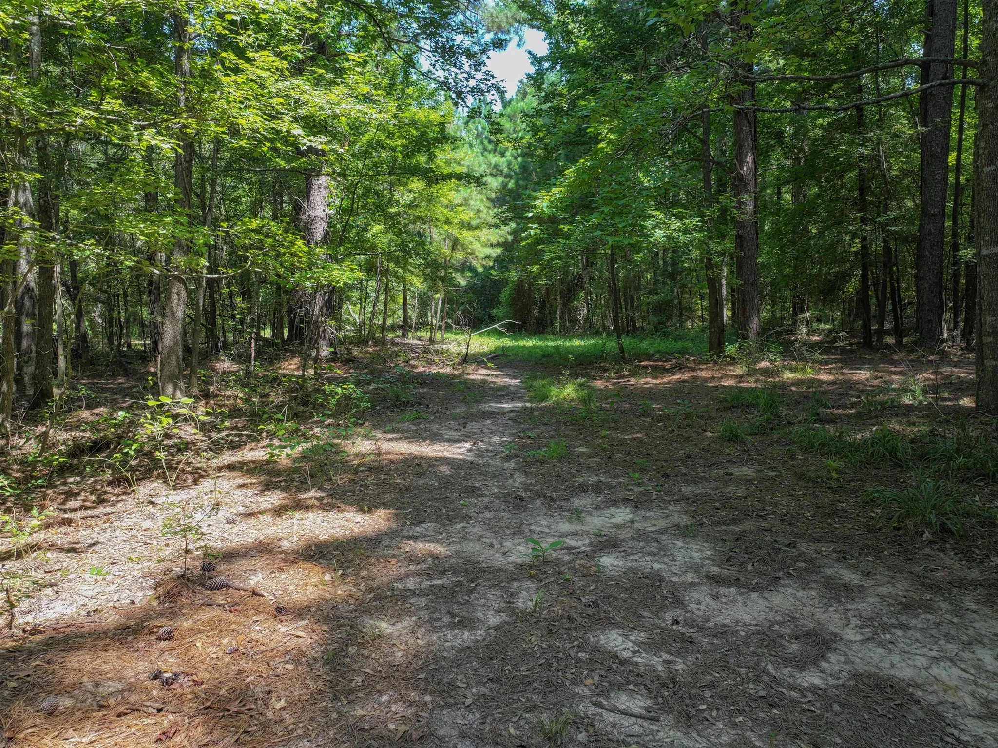 Manufactured Home For Sale in Bowie County , 6394 County Road 3204, De Kalb, Texas 75559, 3 Bedrooms, 2 Bathrooms, Garage spaces, 1,560 Sqft, built in 0, Price $349,000, mls#21343106, Real Estate Agent in De Kalb, Homes For Sale in Bowie county, Homes For Sale in De Kalb, Realtor in De Kalb Texas, Real Estate Brokerage Independent Realty Texas, Luminita Cordes Realtor