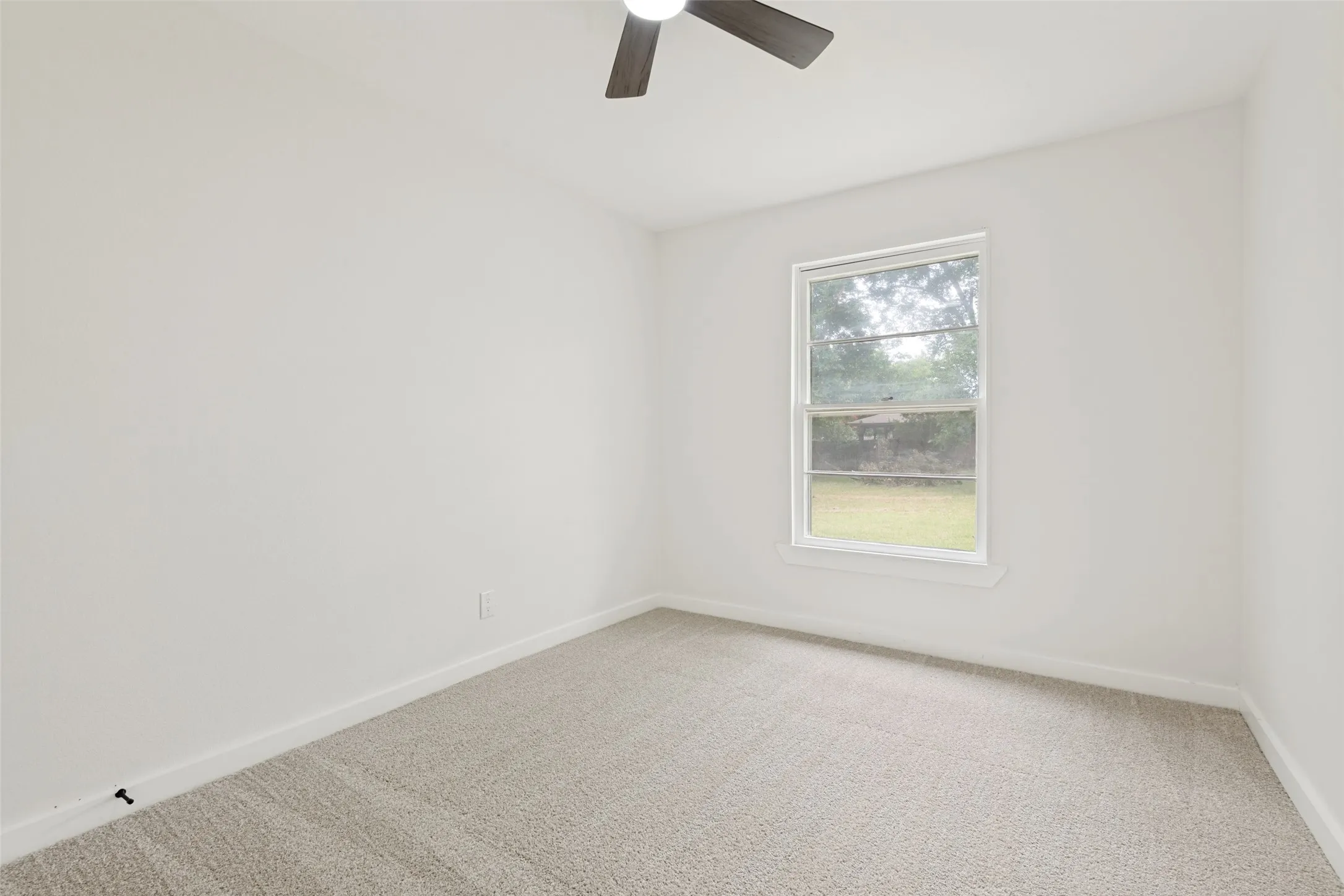 Neutral wall paint, carpeted flooring, a single window, and a ceiling fan with dark-toned blades