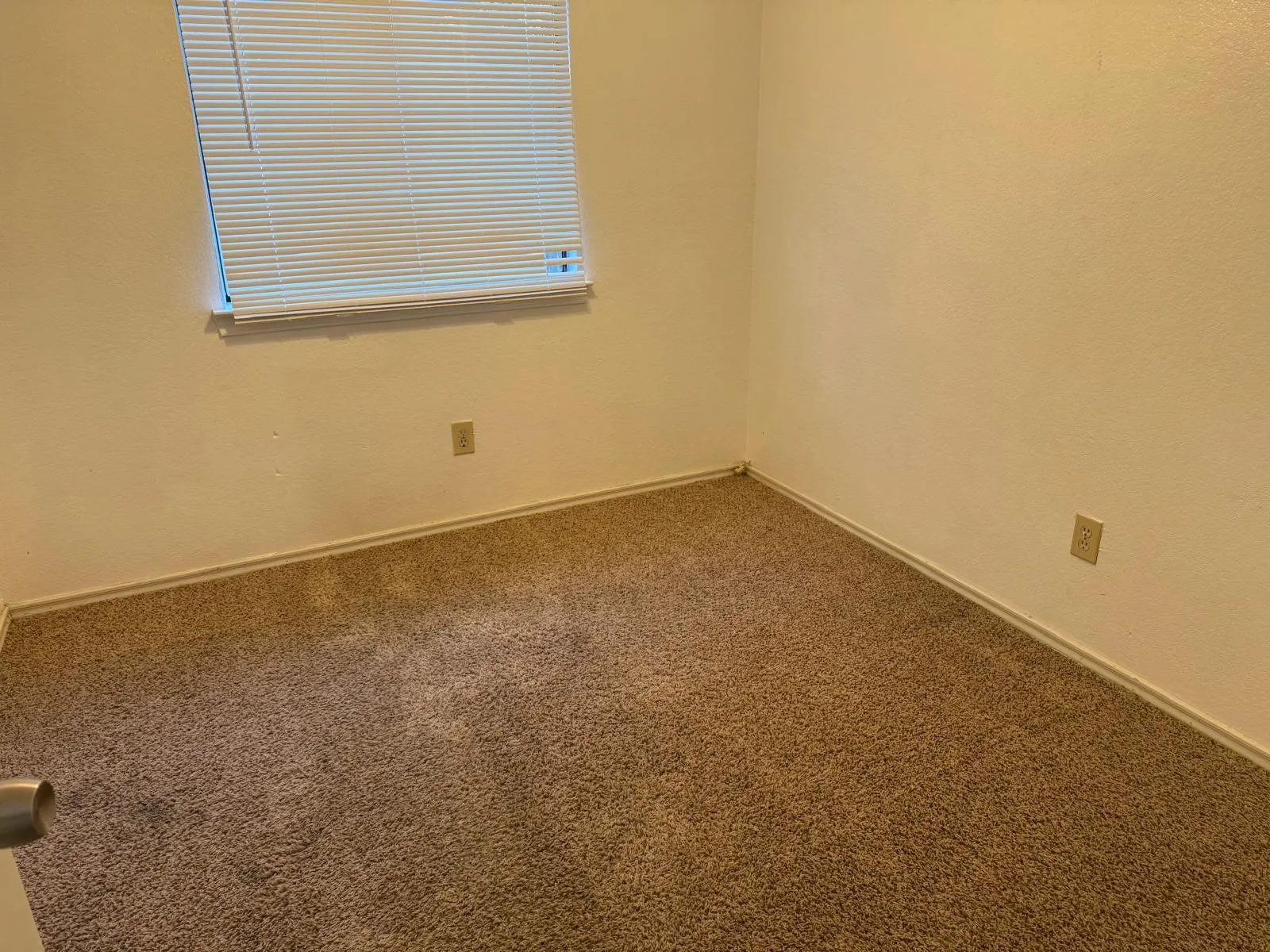 Bright room with textured off-white walls and tan carpet