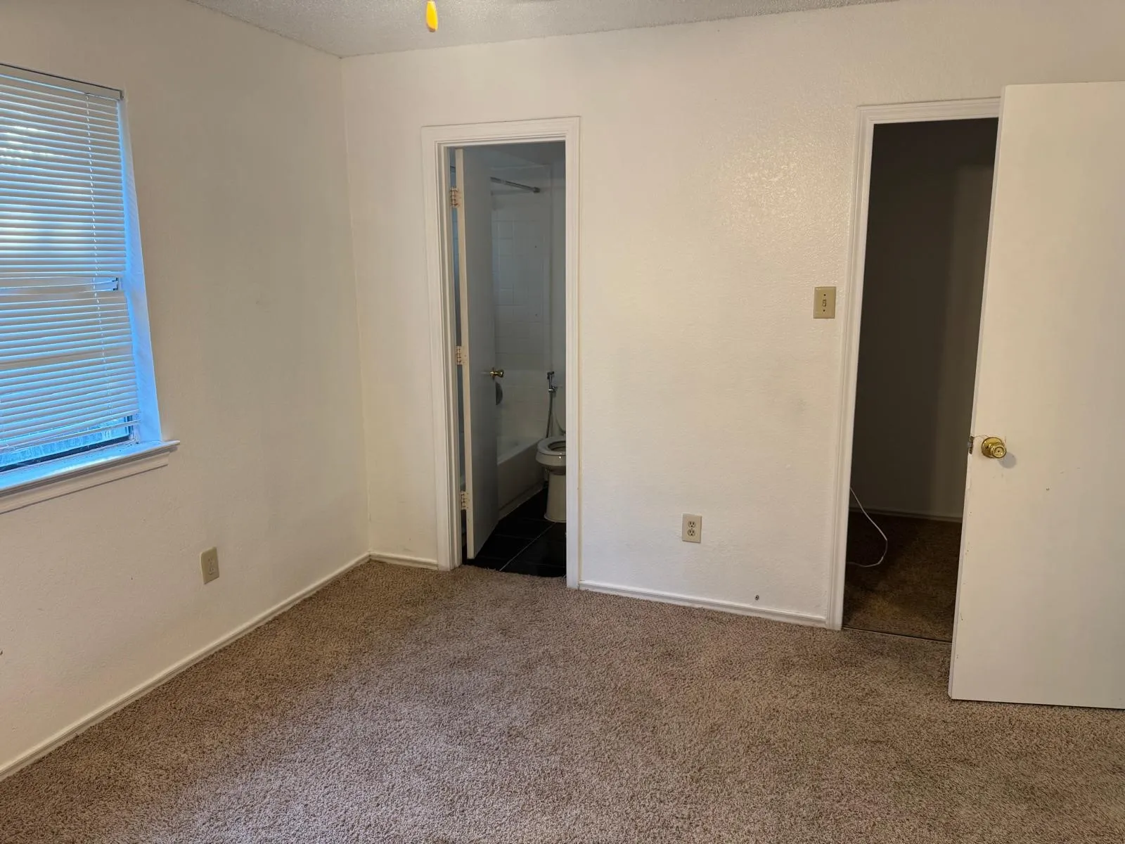 Carpeted room featuring a window with horizontal blinds, textured white walls, and a ceiling fan