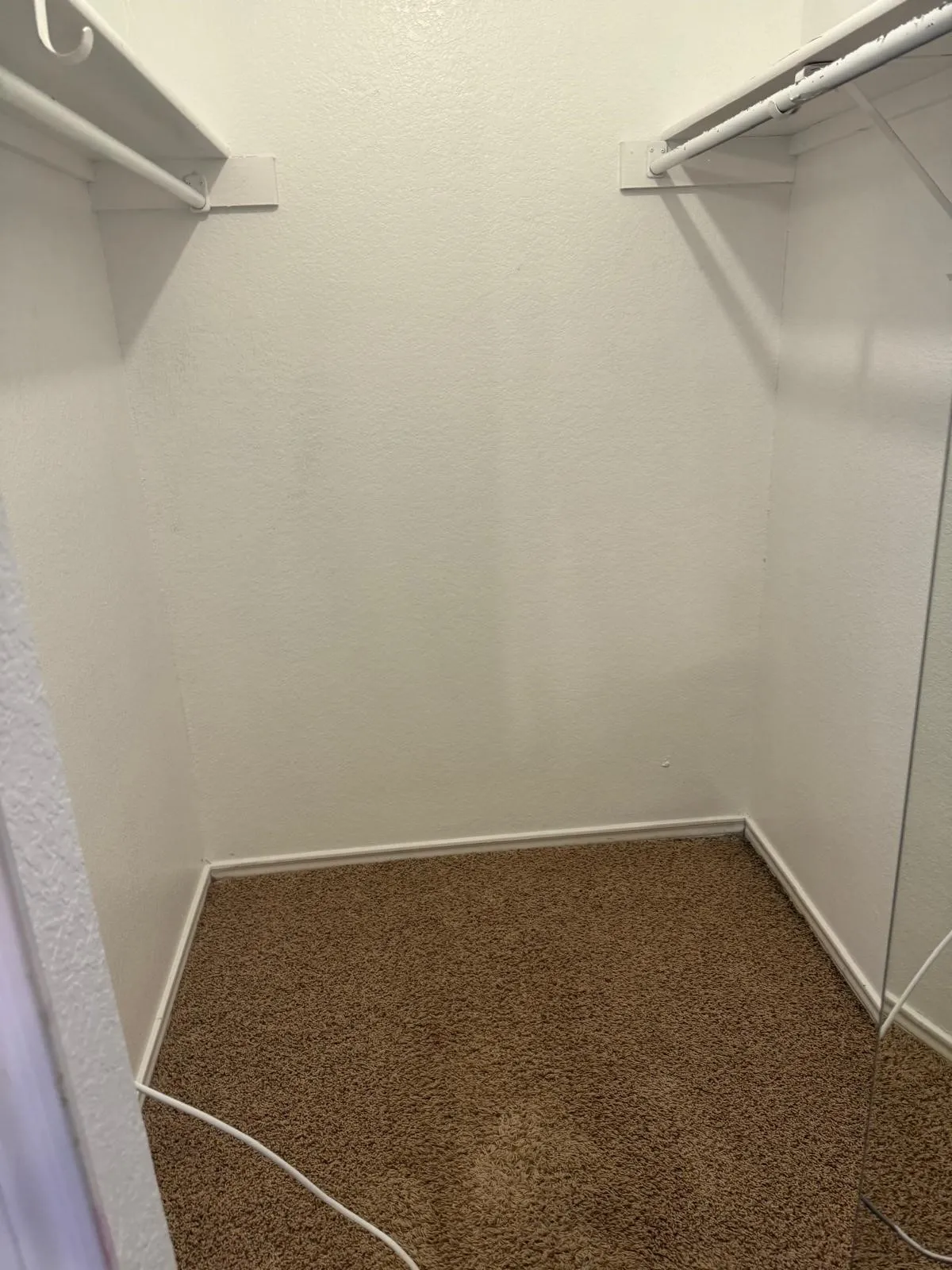 Spacious closet featuring white painted walls, white shelving, metal hanging rods, and neutral-toned carpeting