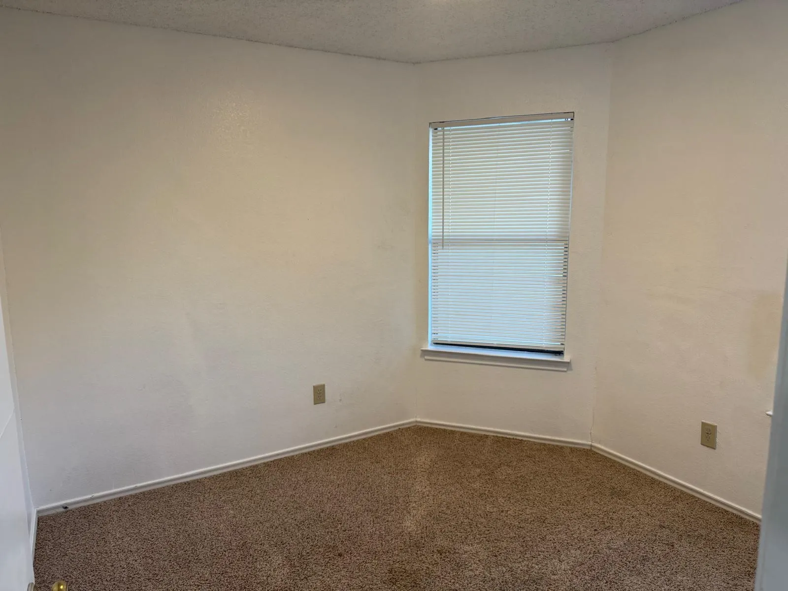 Neutral-toned walls complement the textured brown carpeting