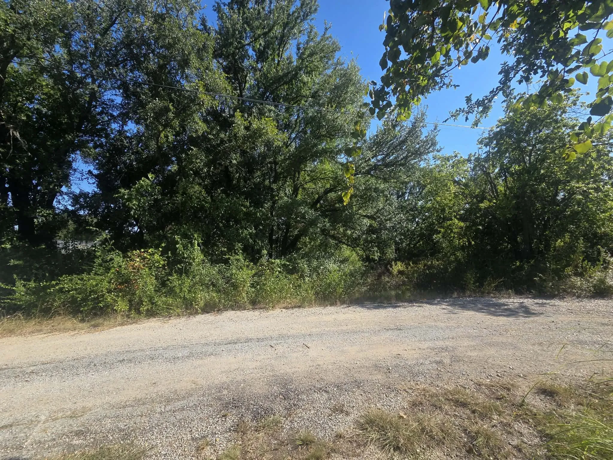 front of the lot