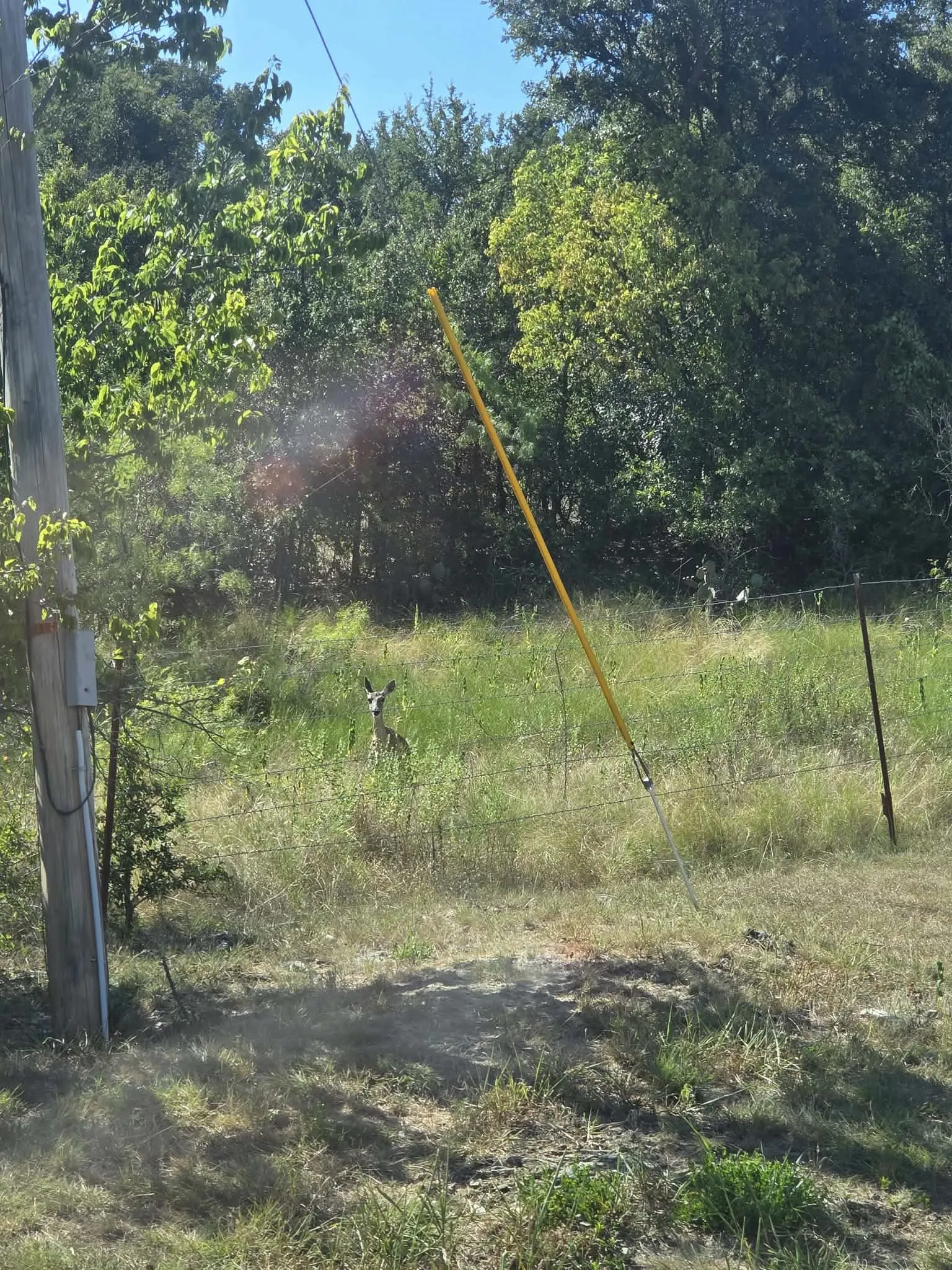 Improved Land For Sale in Wise County , TBD Marco Drive, Runaway Bay, Texas 76426, 0, 0, Garage spaces, 0 Sqft, built in 0, mls#21343179, Real Estate Agent in Runaway Bay, Homes For Sale in Wise county, Homes For Sale in Runaway Bay, Realtor in Runaway Bay Texas, Real Estate Brokerage Independent Realty Texas, Luminita Cordes Realtor