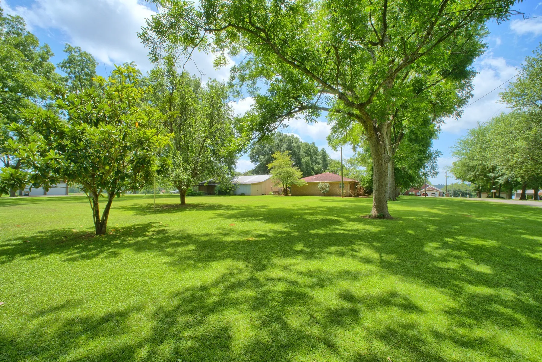 Expansive lawn with mature trees providing ample shade