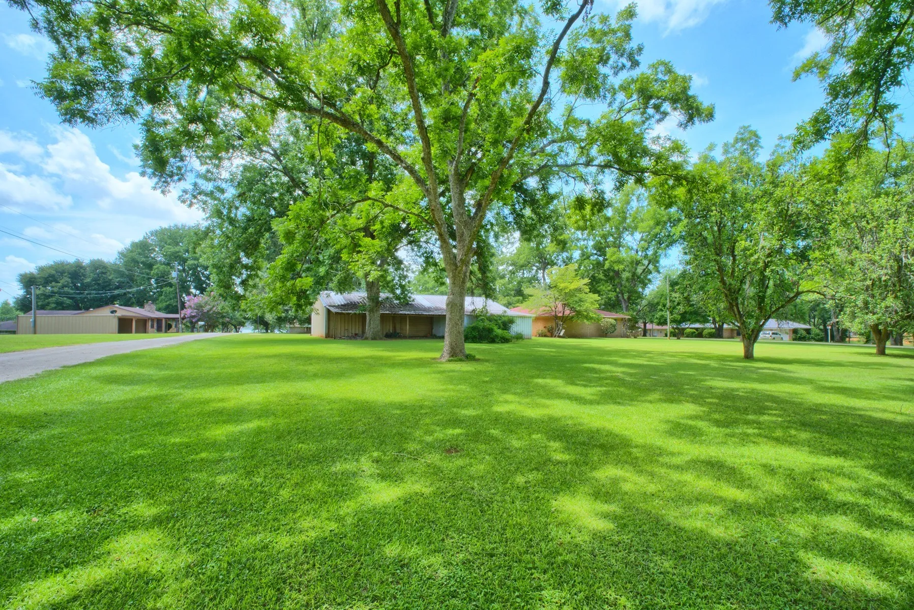 Expansive verdant lawn with mature trees providing ample shade