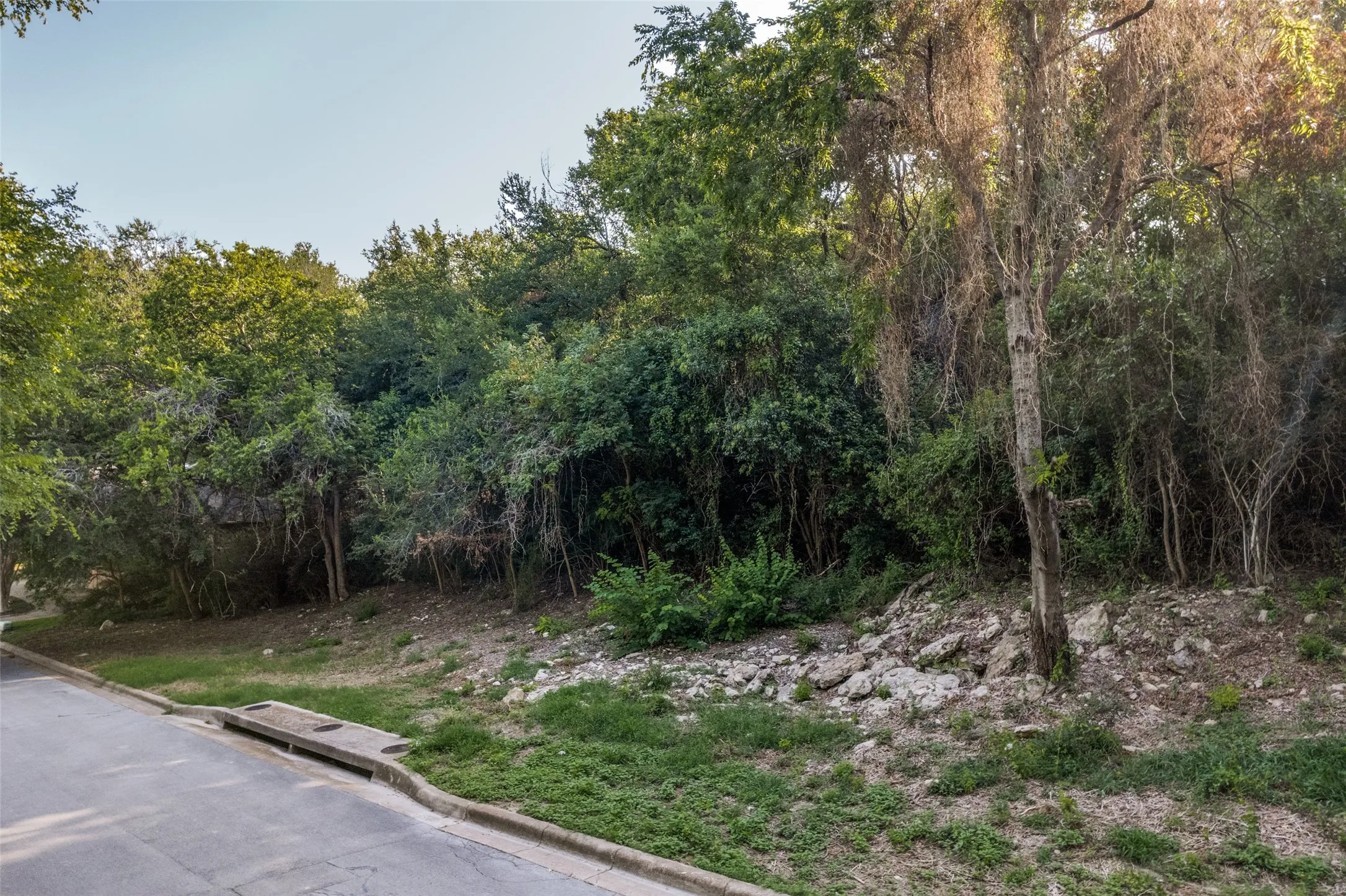 Street view of the lot