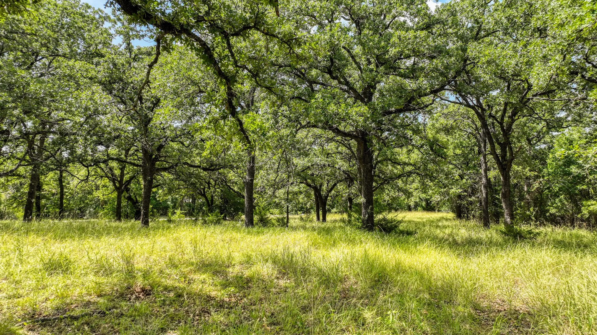 Business For Sale in Parker County , 6400 Midway Road, Springtown, Texas 76082, 0, 0, Garage spaces, 0 Sqft, built in 0, mls#21343224, Real Estate Agent in Springtown, Homes For Sale in Parker county, Homes For Sale in Springtown, Realtor in Springtown Texas, Real Estate Brokerage Independent Realty Texas, Luminita Cordes Realtor