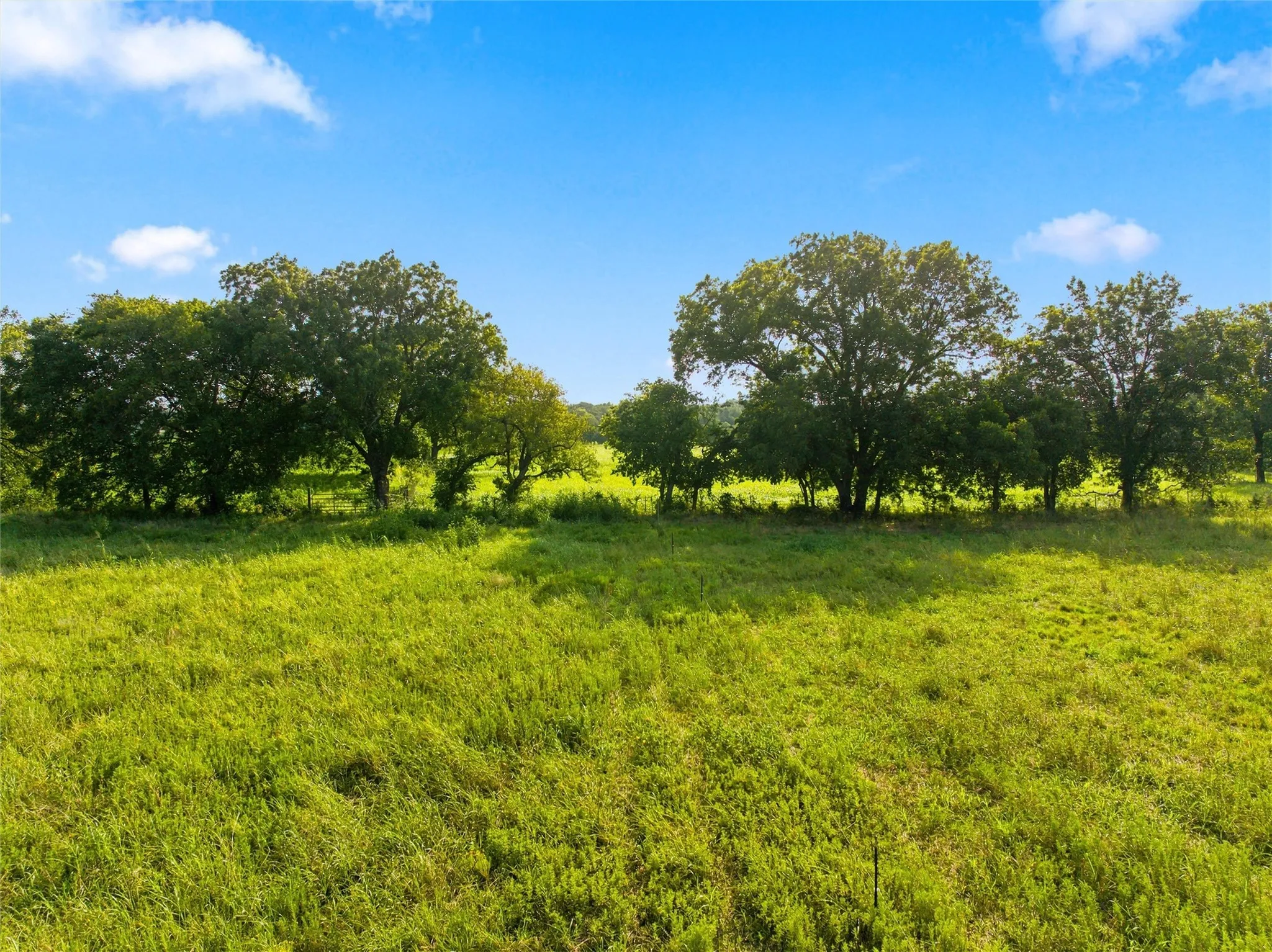 Improved Land For Sale in Mc Lennan County , 494 Quillian Trace, Waco, Texas 76705, 0, 0, Garage spaces, 0 Sqft, built in 0, mls#21343251, Real Estate Agent in Waco, Homes For Sale in Mc Lennan county, Homes For Sale in Waco, Realtor in Waco Texas, Real Estate Brokerage Independent Realty Texas, Luminita Cordes Realtor