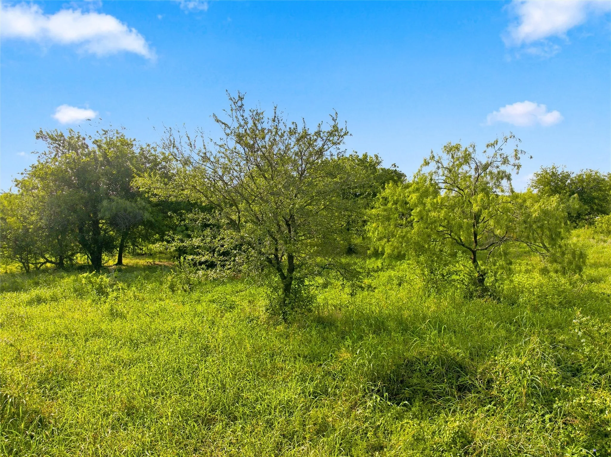 Improved Land For Sale in Mc Lennan County , 494 Quillian Trace, Waco, Texas 76705, 0, 0, Garage spaces, 0 Sqft, built in 0, mls#21343251, Real Estate Agent in Waco, Homes For Sale in Mc Lennan county, Homes For Sale in Waco, Realtor in Waco Texas, Real Estate Brokerage Independent Realty Texas, Luminita Cordes Realtor