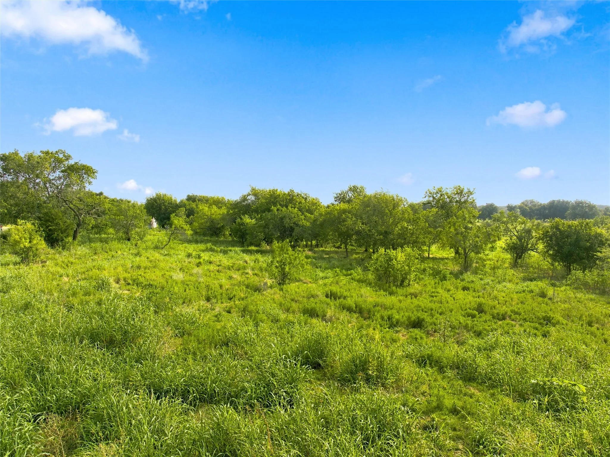 Improved Land For Sale in Mc Lennan County , 494 Quillian Trace, Waco, Texas 76705, 0, 0, Garage spaces, 0 Sqft, built in 0, mls#21343251, Real Estate Agent in Waco, Homes For Sale in Mc Lennan county, Homes For Sale in Waco, Realtor in Waco Texas, Real Estate Brokerage Independent Realty Texas, Luminita Cordes Realtor