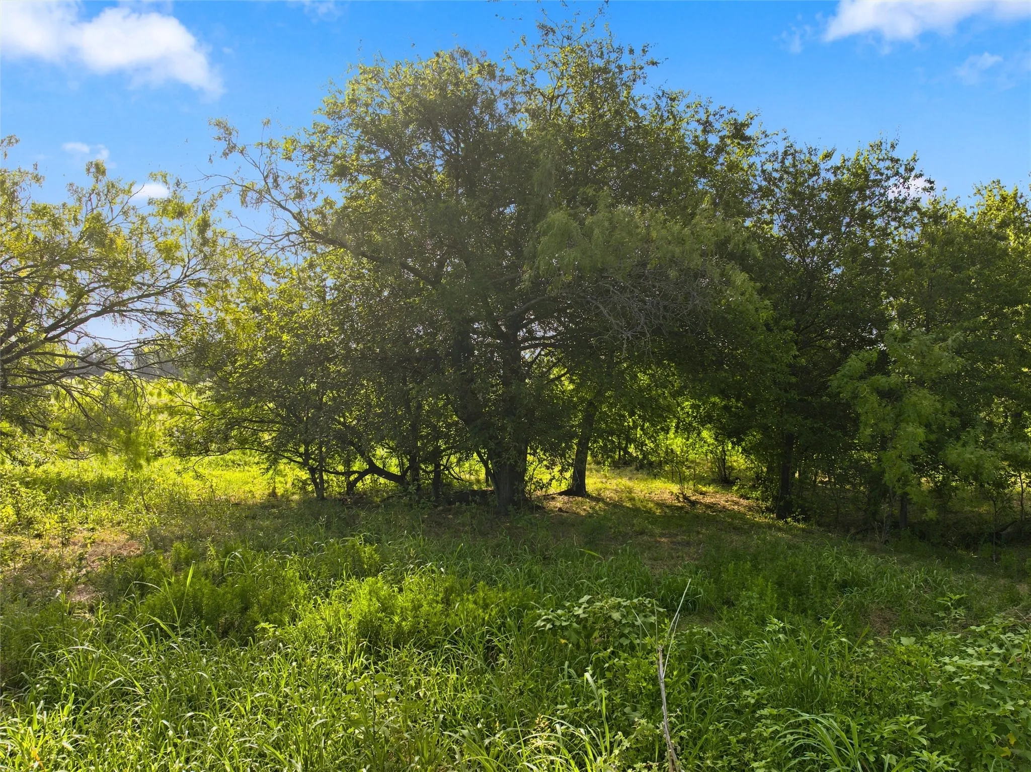 Improved Land For Sale in Mc Lennan County , 494 Quillian Trace, Waco, Texas 76705, 0, 0, Garage spaces, 0 Sqft, built in 0, mls#21343251, Real Estate Agent in Waco, Homes For Sale in Mc Lennan county, Homes For Sale in Waco, Realtor in Waco Texas, Real Estate Brokerage Independent Realty Texas, Luminita Cordes Realtor