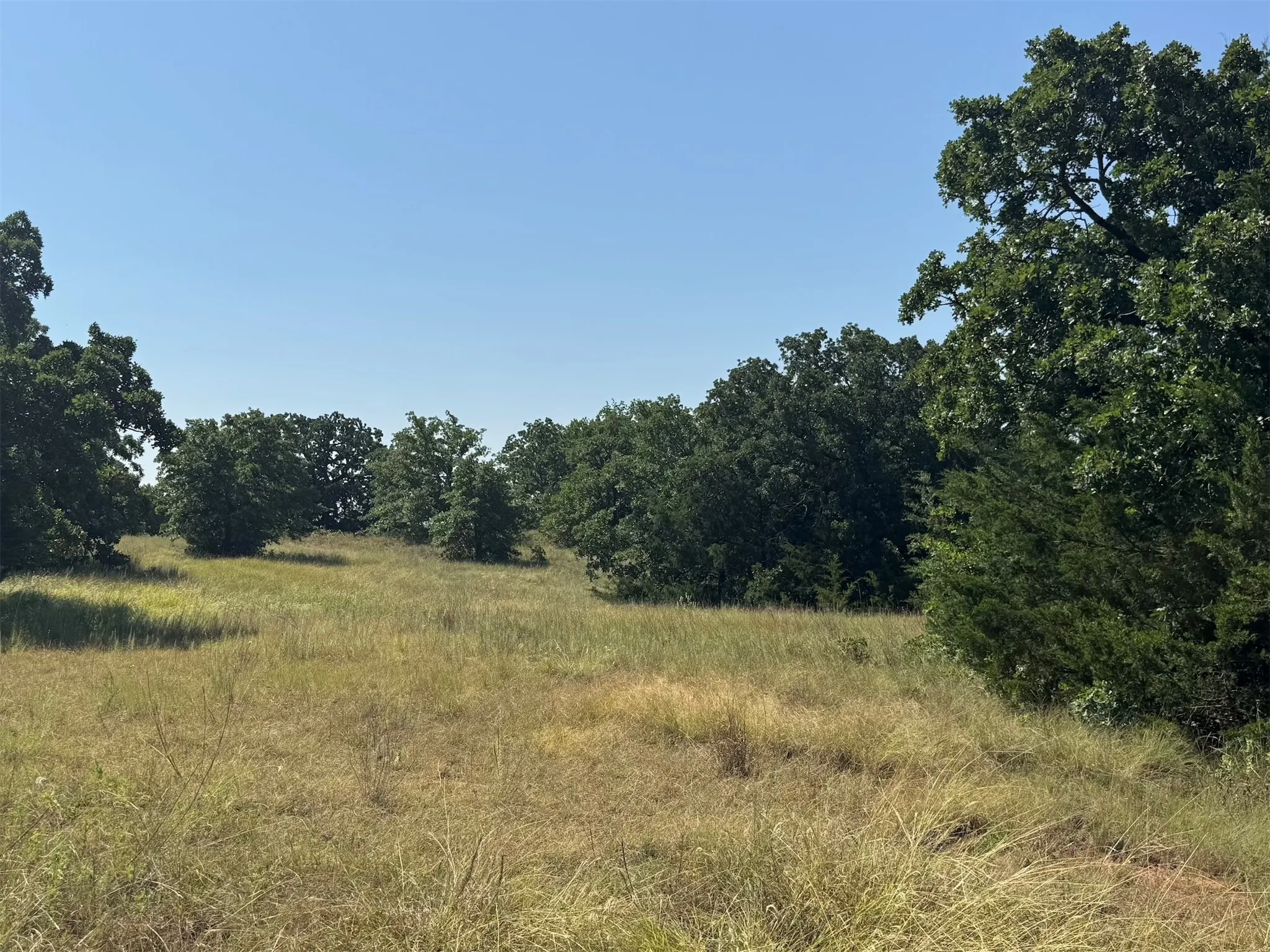 pasture