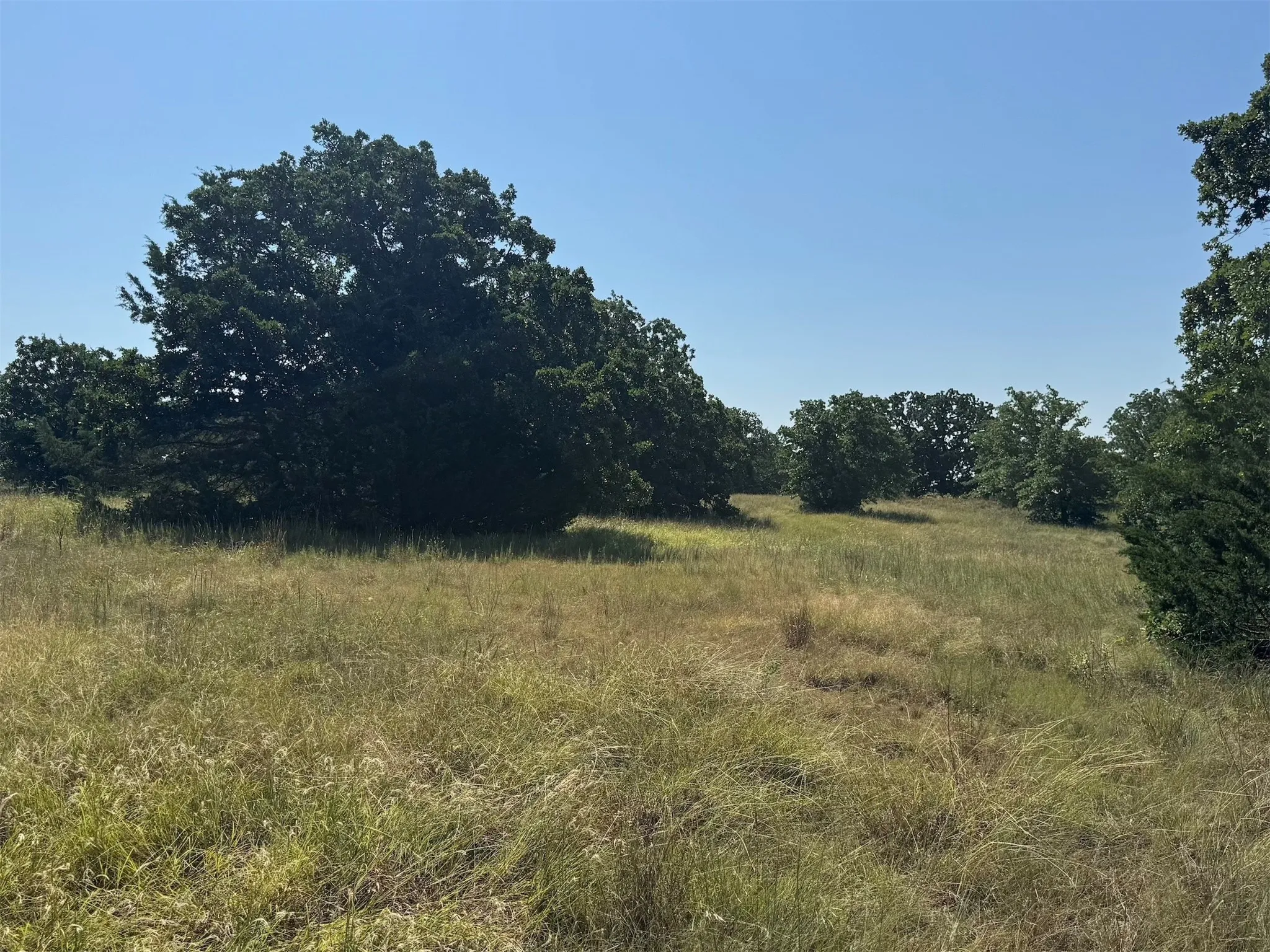 pasture