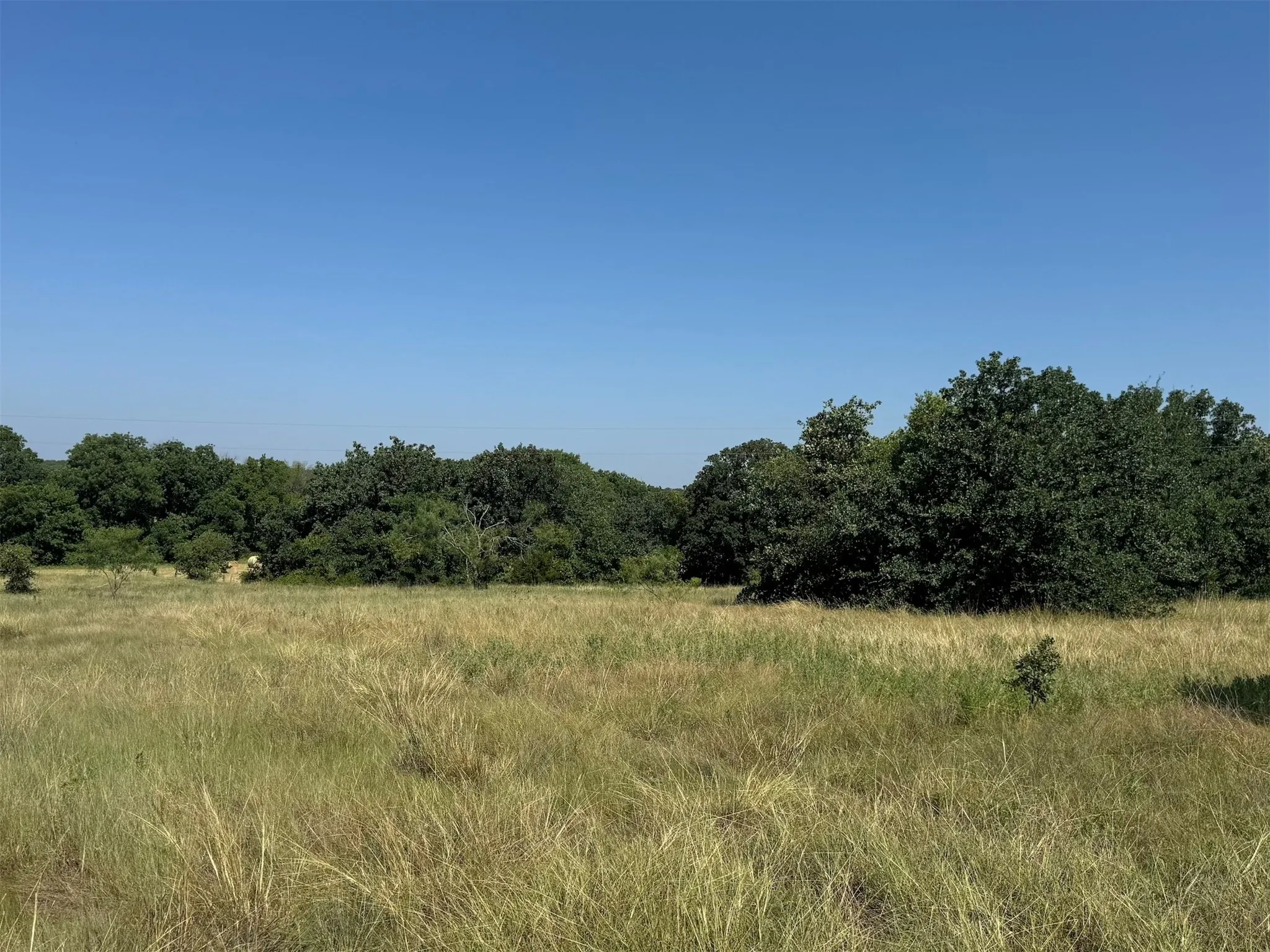 pasture