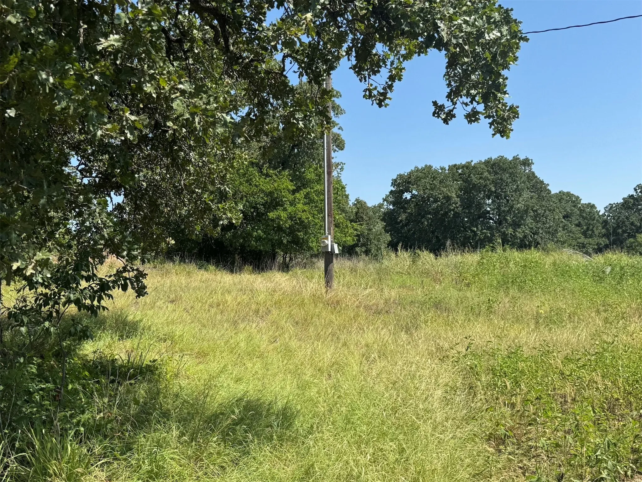 electric pole