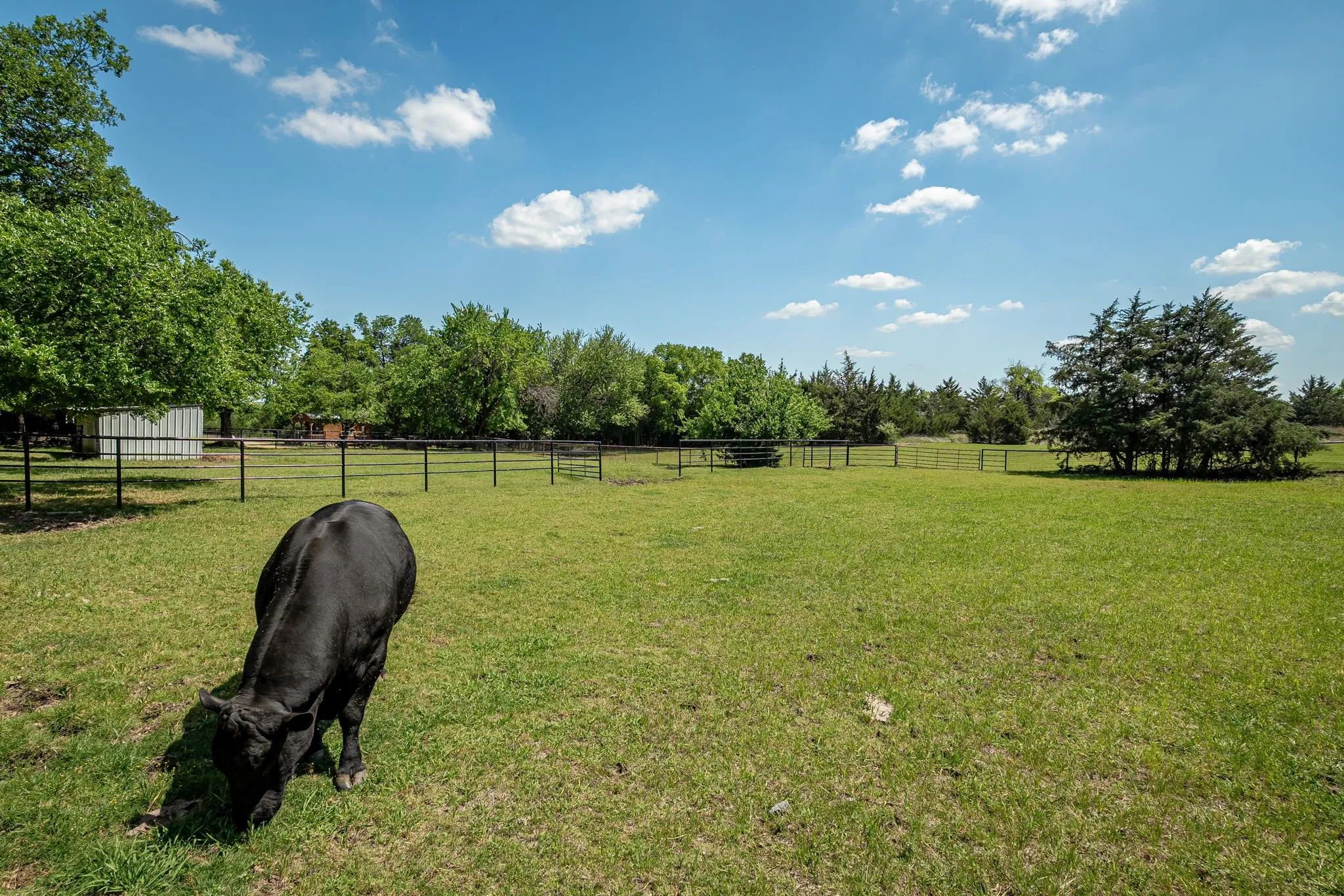 Single Family Residence For Sale in Collin County , 14392 State Highway 78 N, Blue Ridge, Texas 75424, 3 Bedroom, 3 Bathroom, Garage spaces, 2,438 Sqft, built in 1983, mls#21341040, Real Estate Agent in Blue Ridge, Homes For Sale in Collin county, Homes For Sale in Blue Ridge, Realtor in Blue Ridge Texas, Real Estate Brokerage Independent Realty Texas, Luminita Cordes Realtor