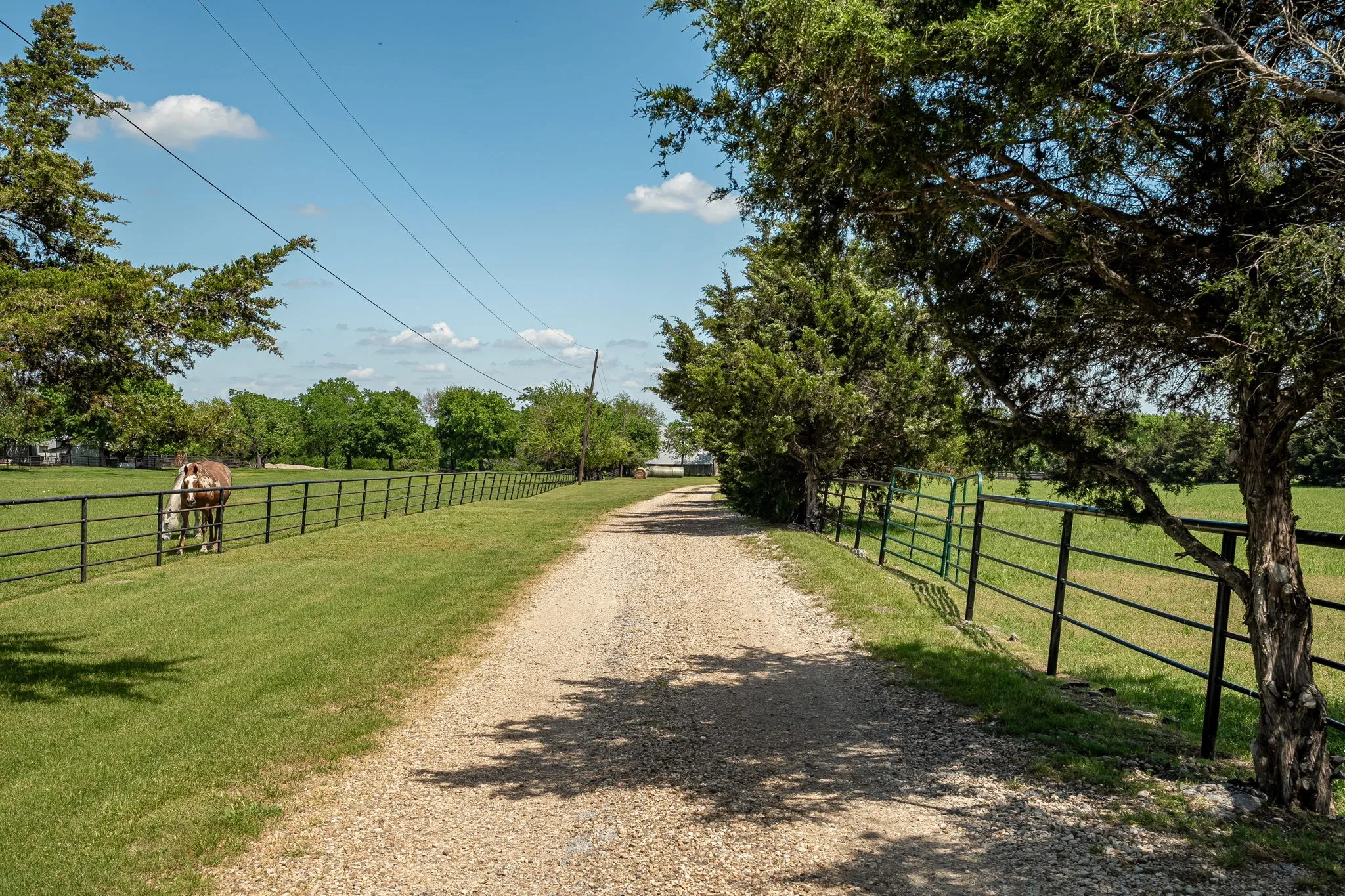 Single Family Residence For Sale in Collin County , 14392 State Highway 78 N, Blue Ridge, Texas 75424, 3 Bedroom, 3 Bathroom, Garage spaces, 2,438 Sqft, built in 1983, mls#21341040, Real Estate Agent in Blue Ridge, Homes For Sale in Collin county, Homes For Sale in Blue Ridge, Realtor in Blue Ridge Texas, Real Estate Brokerage Independent Realty Texas, Luminita Cordes Realtor