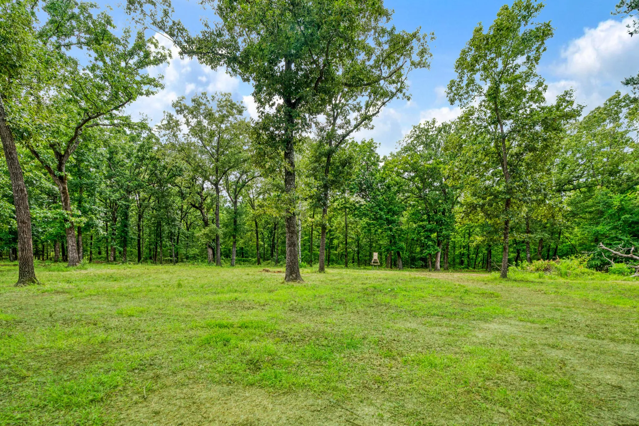 Single Family Residence For Sale in Red River (TX) County , 2361 CR 2131, Detroit, Texas 75436, 2 Bedroom, 3 Bathroom, Garage spaces, 1,649 Sqft, built in 2023, mls#21338402, Real Estate Agent in Detroit, Homes For Sale in Red River (TX) county, Homes For Sale in Detroit, Realtor in Detroit Texas, Real Estate Brokerage Independent Realty Texas, Luminita Cordes Realtor