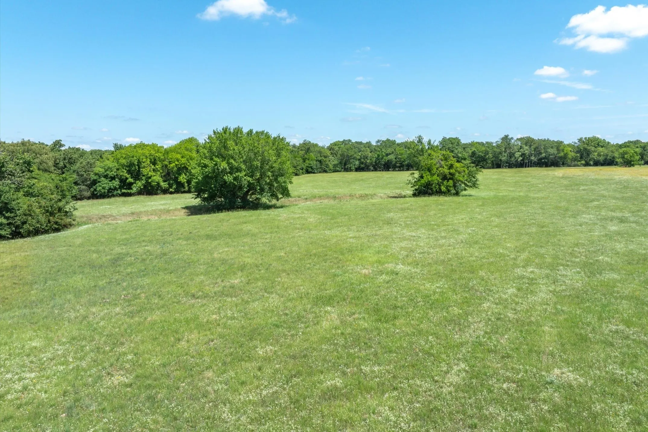 Unimproved Land For Sale in Rains County , Lot 3 State Hwy 19, Emory, Texas 75440, 0, 0, Garage spaces, 0 Sqft, built in 0, Price $225,150, mls#21340400, Real Estate Agent in Emory, Homes For Sale in Rains county, Homes For Sale in Emory, Realtor in Emory Texas, Real Estate Brokerage Independent Realty Texas, Luminita Cordes Realtor