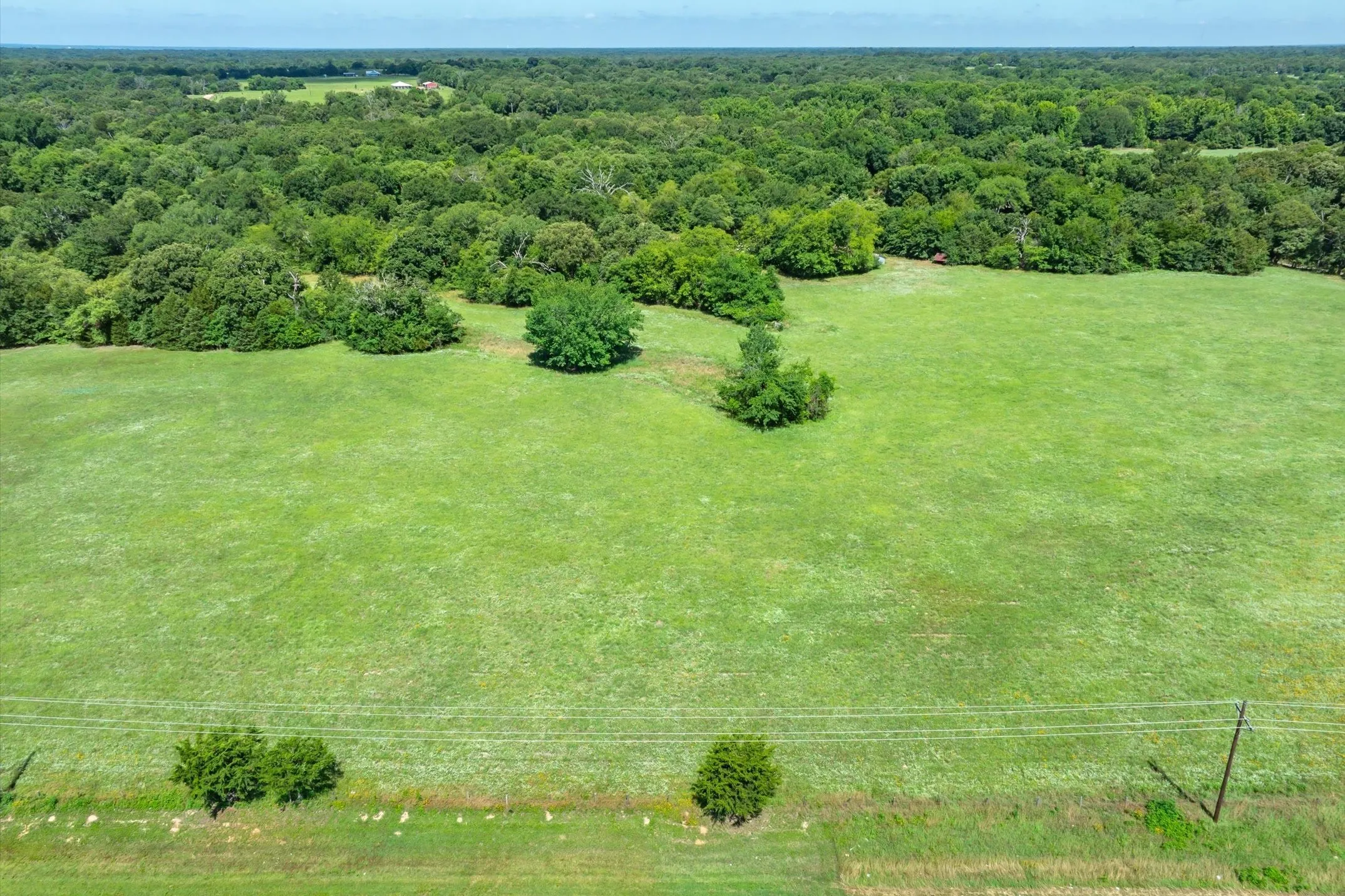 Unimproved Land For Sale in Rains County , Lot 3 State Hwy 19, Emory, Texas 75440, 0, 0, Garage spaces, 0 Sqft, built in 0, Price $225,150, mls#21340400, Real Estate Agent in Emory, Homes For Sale in Rains county, Homes For Sale in Emory, Realtor in Emory Texas, Real Estate Brokerage Independent Realty Texas, Luminita Cordes Realtor