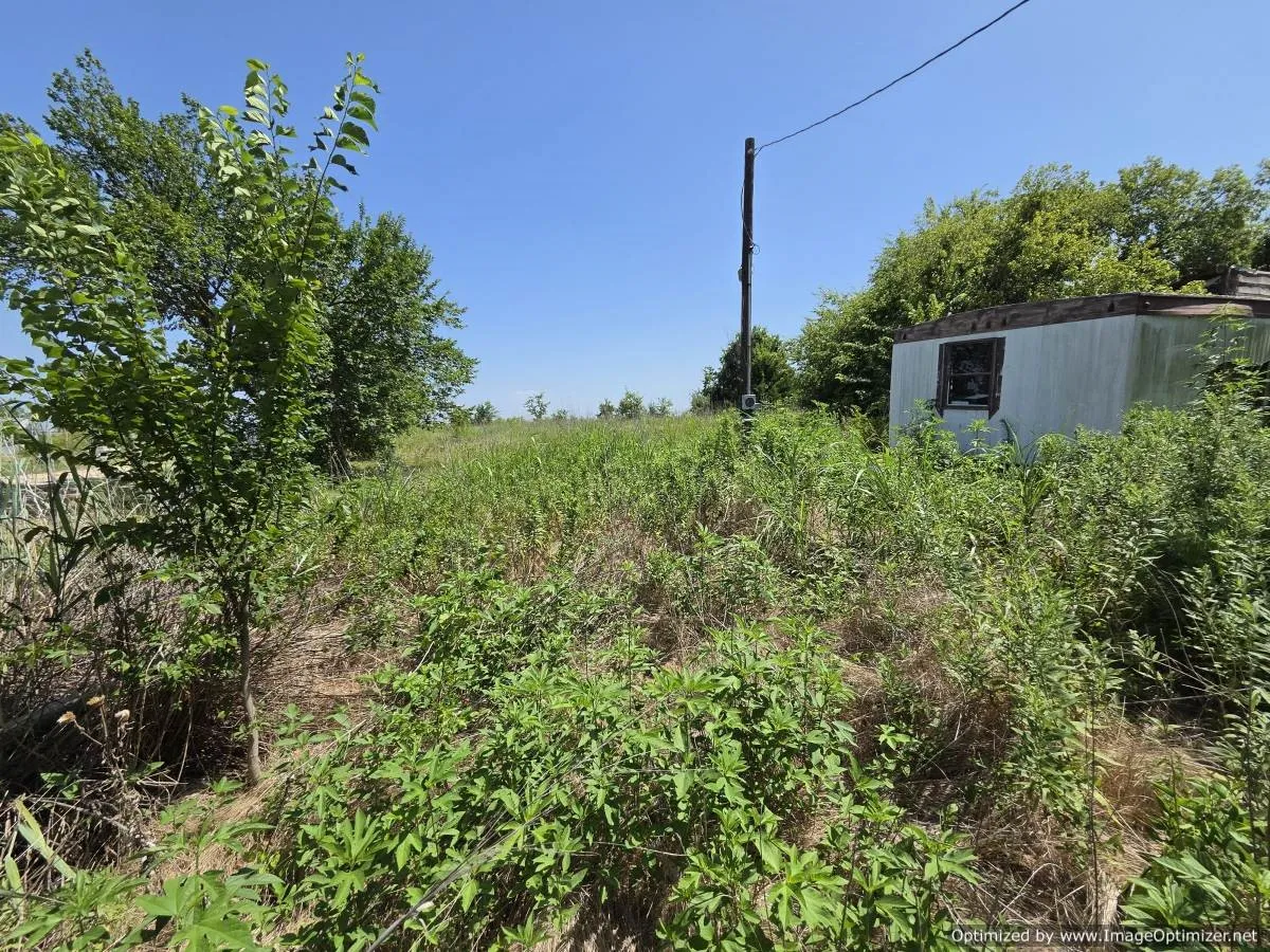 Improved Land For Sale in Johnson County , 5412 Spring Street, Alvarado, Texas 76009, 0, 0, Garage spaces, 0 Sqft, built in 1974, mls#21338494, Real Estate Agent in Alvarado, Homes For Sale in Johnson county, Homes For Sale in Alvarado, Realtor in Alvarado Texas, Real Estate Brokerage Independent Realty Texas, Luminita Cordes Realtor