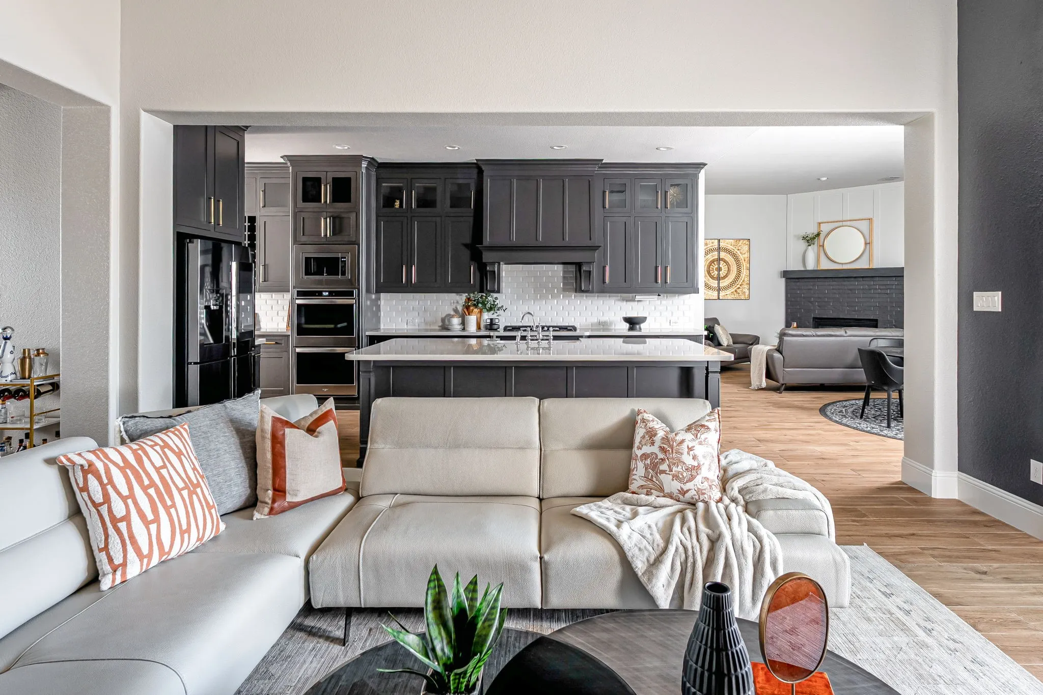 Living Room & Kitchen