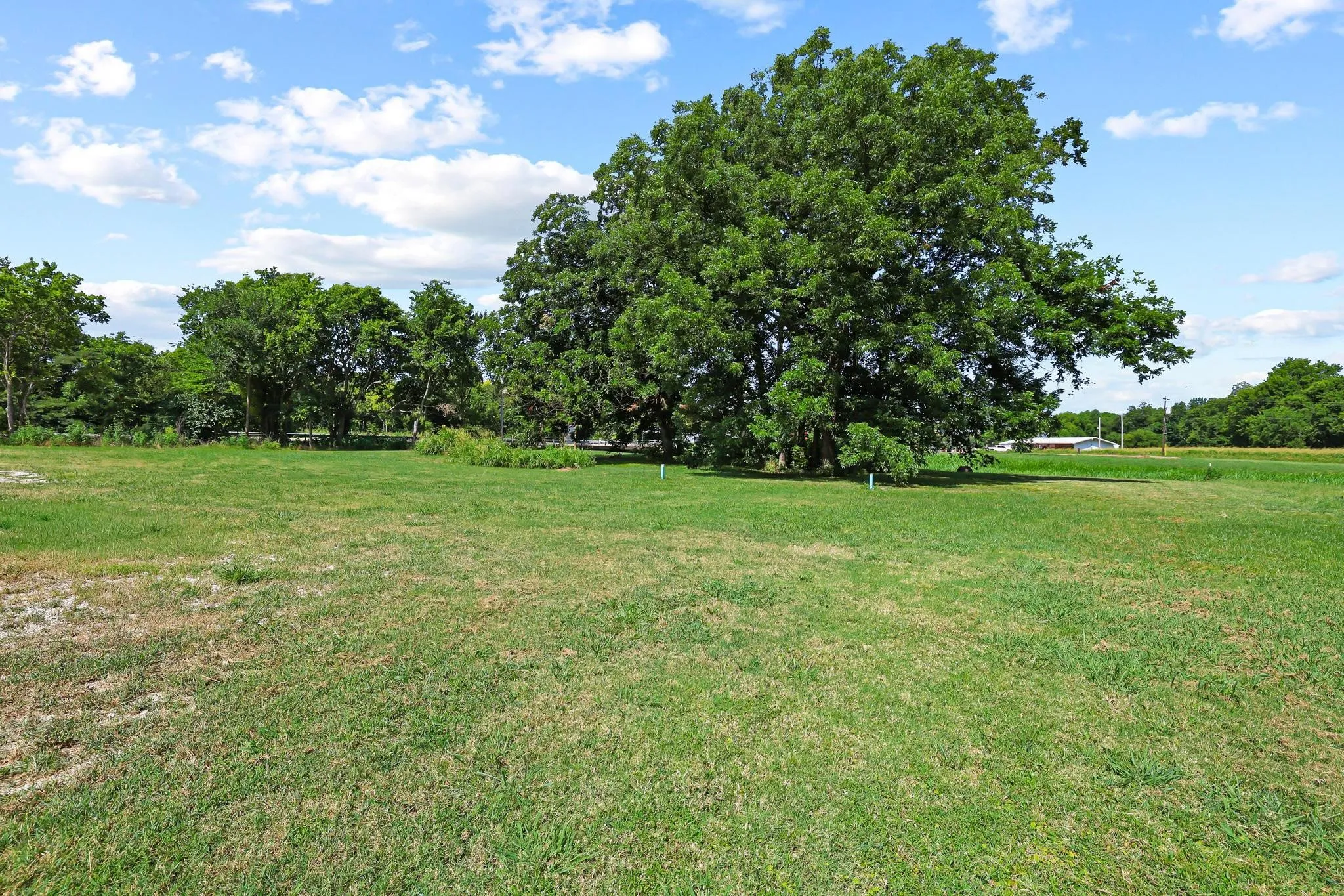 Business For Sale in Lamar County , 453 Depot St, Deport, Texas 75435, 0, 0, Garage spaces, 0 Sqft, built in 2023, mls#21342835, Real Estate Agent in Deport, Homes For Sale in Lamar county, Homes For Sale in Deport, Realtor in Deport Texas, Real Estate Brokerage Independent Realty Texas, Luminita Cordes Realtor