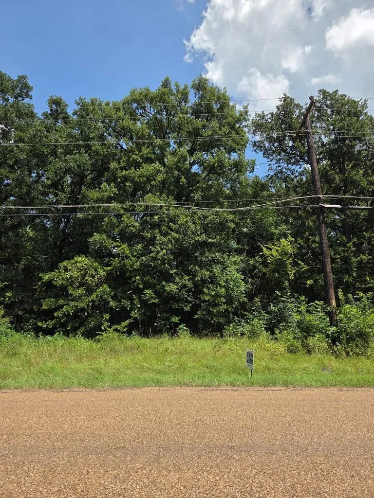 Unimproved Land For Sale in Henderson County , 0 Double Bridge Road, Mabank, Texas 75156, 0, 0, Garage spaces, 0 Sqft, built in 0, mls#21343423, Real Estate Agent in Mabank, Homes For Sale in Henderson county, Homes For Sale in Mabank, Realtor in Mabank Texas, Real Estate Brokerage Independent Realty Texas, Luminita Cordes Realtor