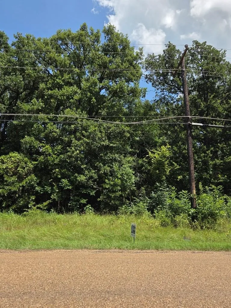 Unimproved Land For Sale in Henderson County , 0 Double Bridge Road, Mabank, Texas 75156, 0, 0, Garage spaces, 0 Sqft, built in 0, mls#21343423, Real Estate Agent in Mabank, Homes For Sale in Henderson county, Homes For Sale in Mabank, Realtor in Mabank Texas, Real Estate Brokerage Independent Realty Texas, Luminita Cordes Realtor