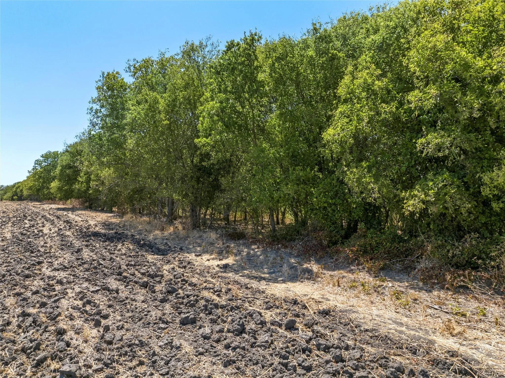Unimproved Land For Sale in Mc Lennan County , TBD +/- 12 Acres T M West Parkway, West, Texas 76691, 0, 0, Garage spaces, 0 Sqft, built in 0, Price $187,500, mls#21336926, Real Estate Agent in West, Homes For Sale in Mc Lennan county, Homes For Sale in West, Realtor in West Texas, Real Estate Brokerage Independent Realty Texas, Luminita Cordes Realtor