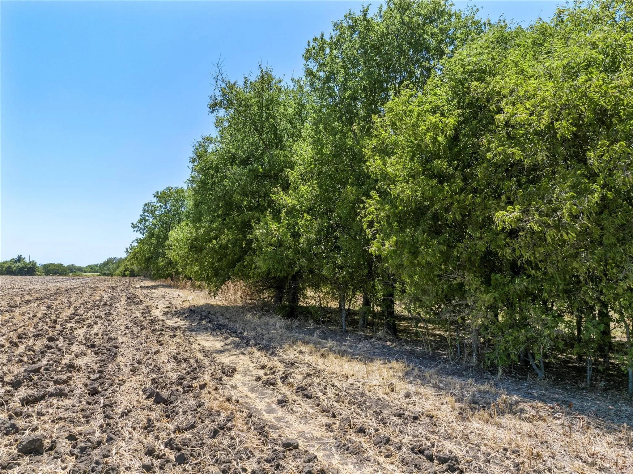 Unimproved Land For Sale in Mc Lennan County , TBD +/- 12 Acres T M West Parkway, West, Texas 76691, 0, 0, Garage spaces, 0 Sqft, built in 0, Price $187,500, mls#21336926, Real Estate Agent in West, Homes For Sale in Mc Lennan county, Homes For Sale in West, Realtor in West Texas, Real Estate Brokerage Independent Realty Texas, Luminita Cordes Realtor